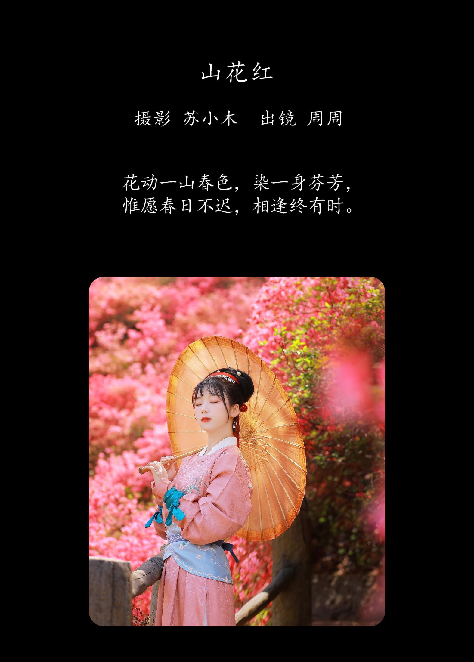 周周Ay – 《山花红》[25P]