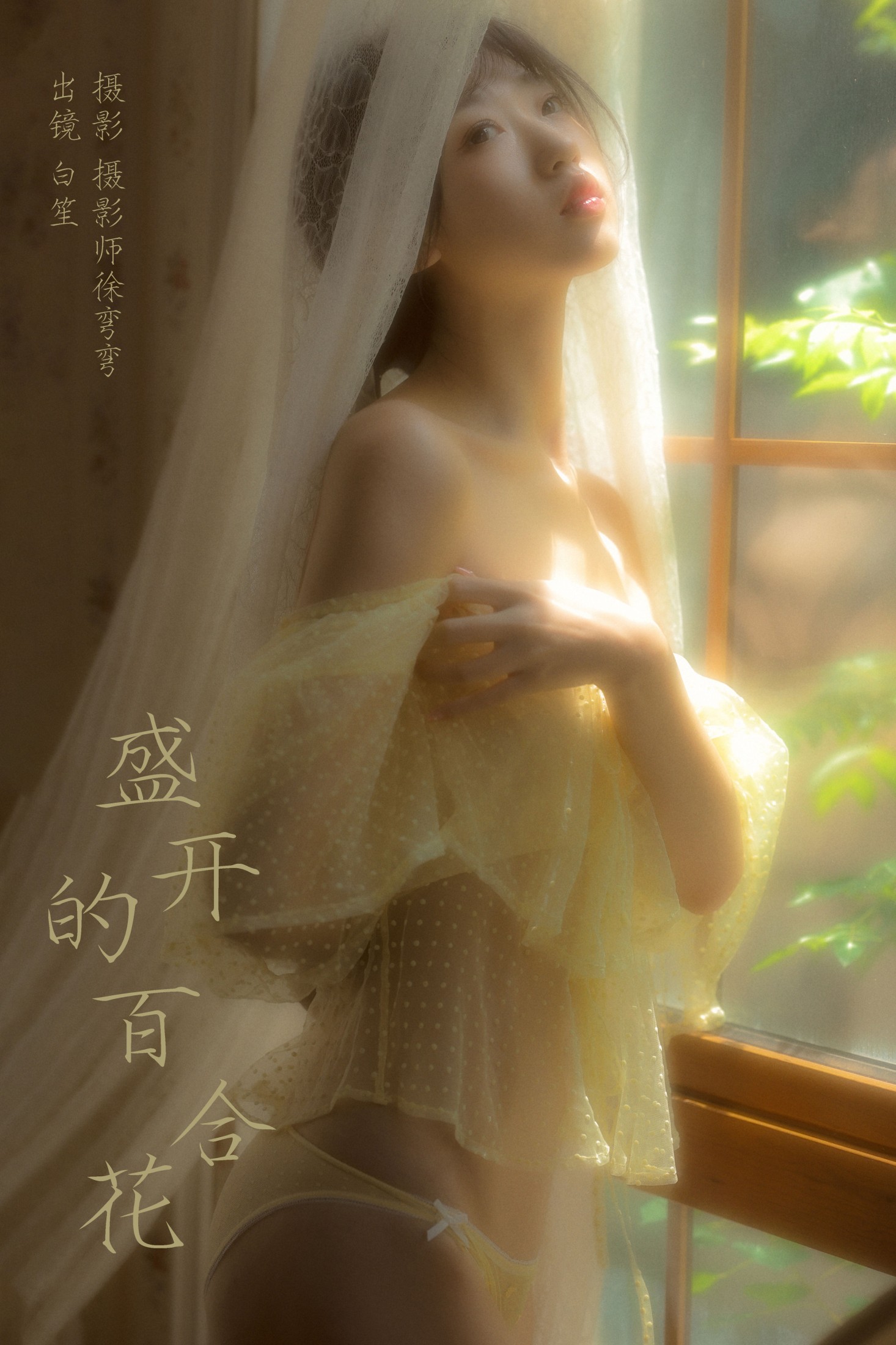 白笙 – 《盛开的百合花》[20P] 插图1