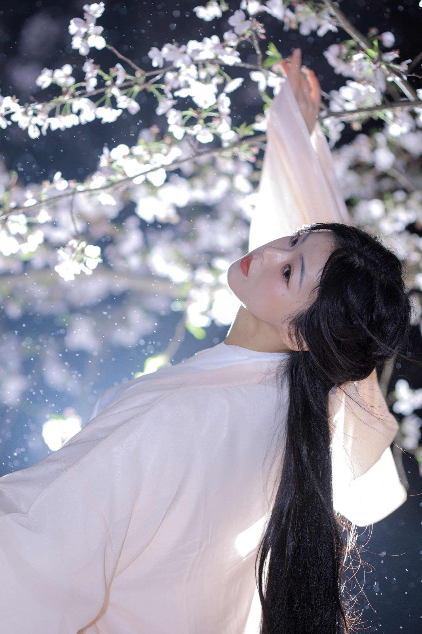 小羊 – 《夜樱》[23P]