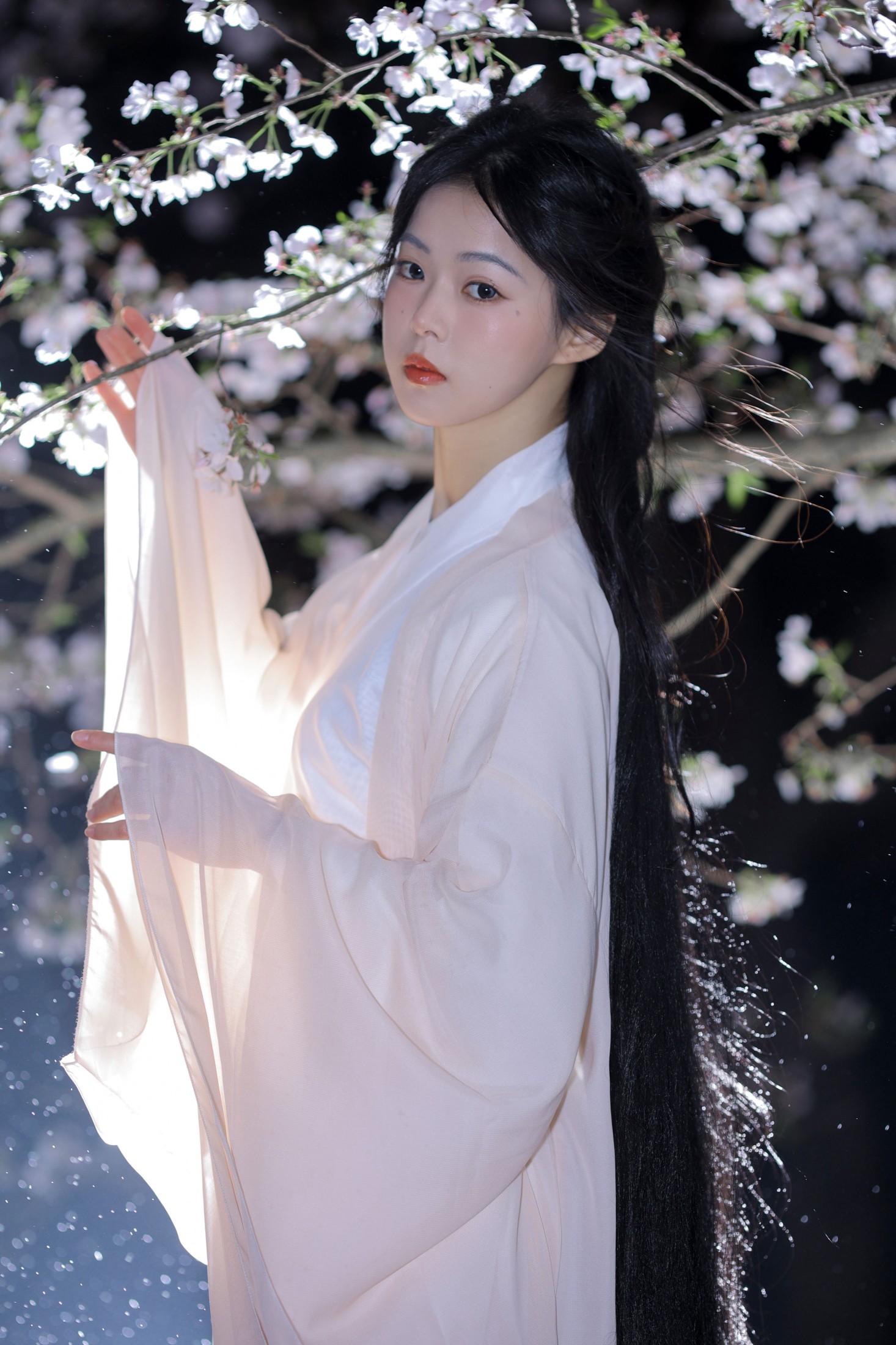 小羊 – 《夜樱》[23P]