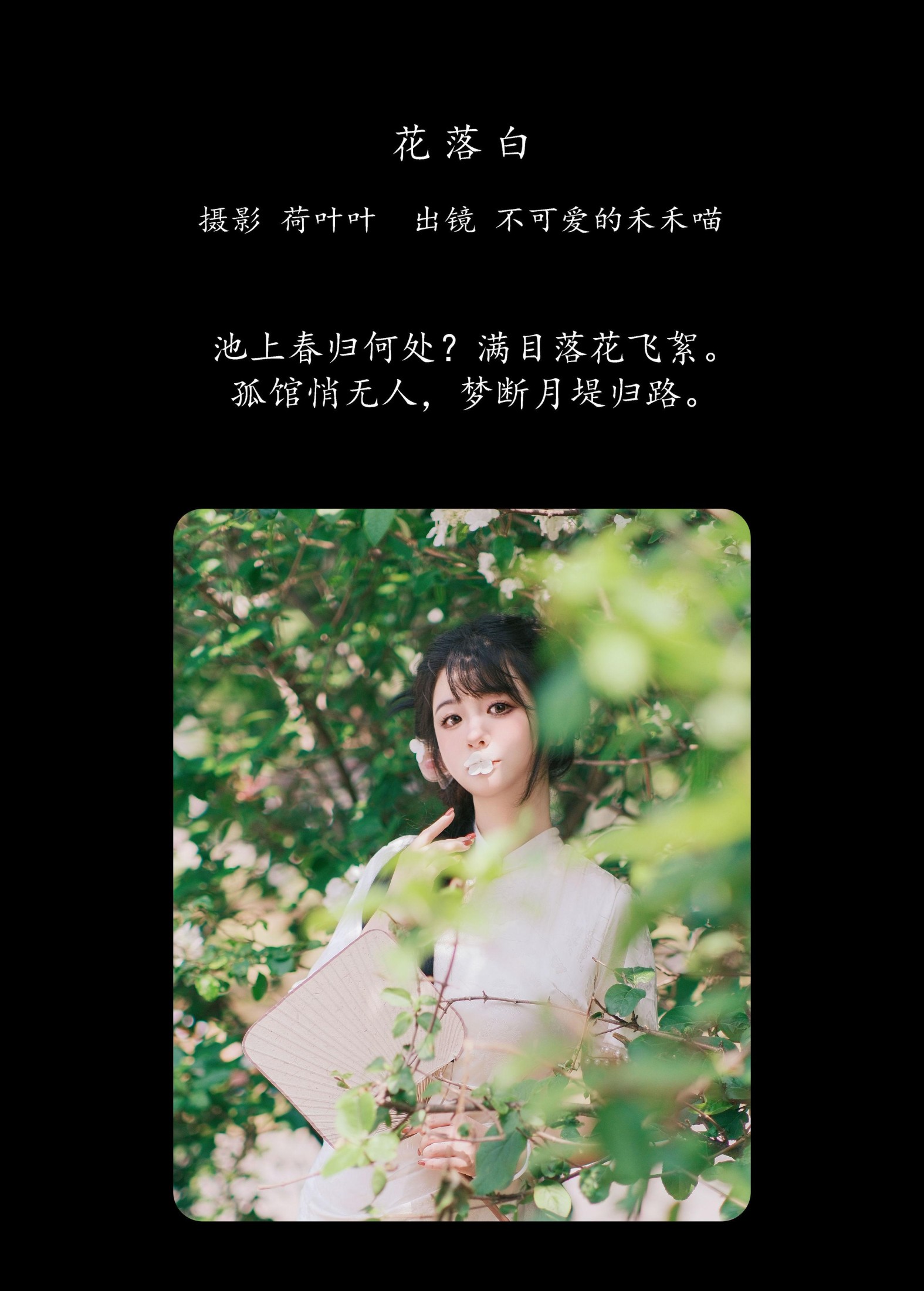 不可爱的禾禾喵 – 《花落白》[34P]