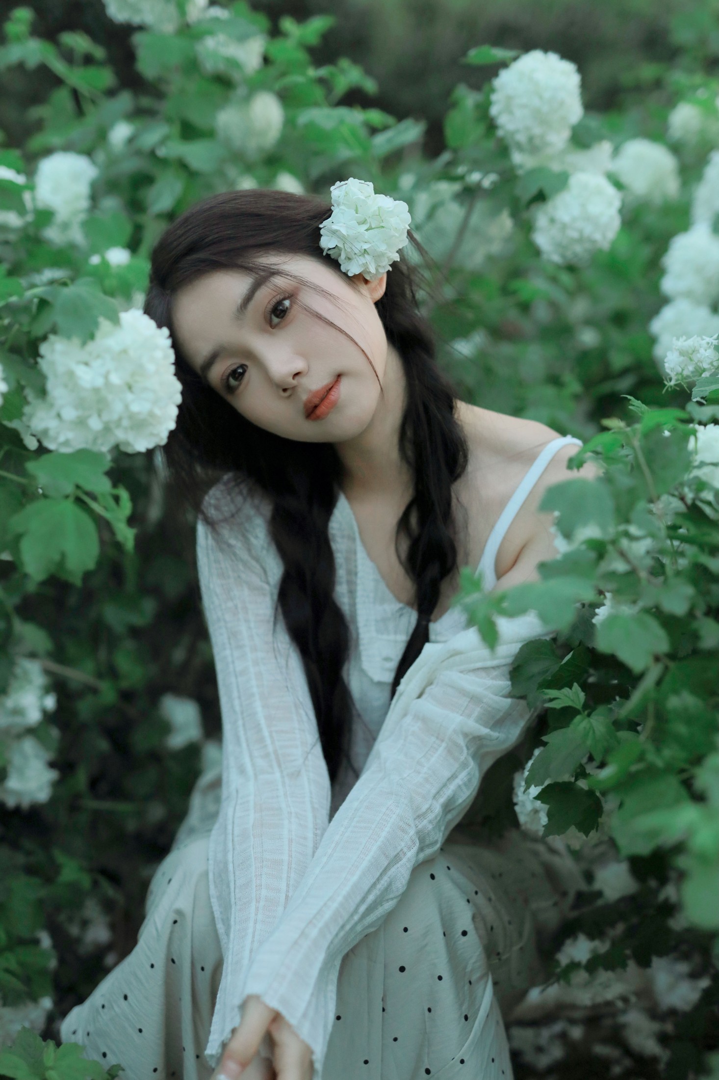 我不刷鸟 – 《四月绣球》[22P]