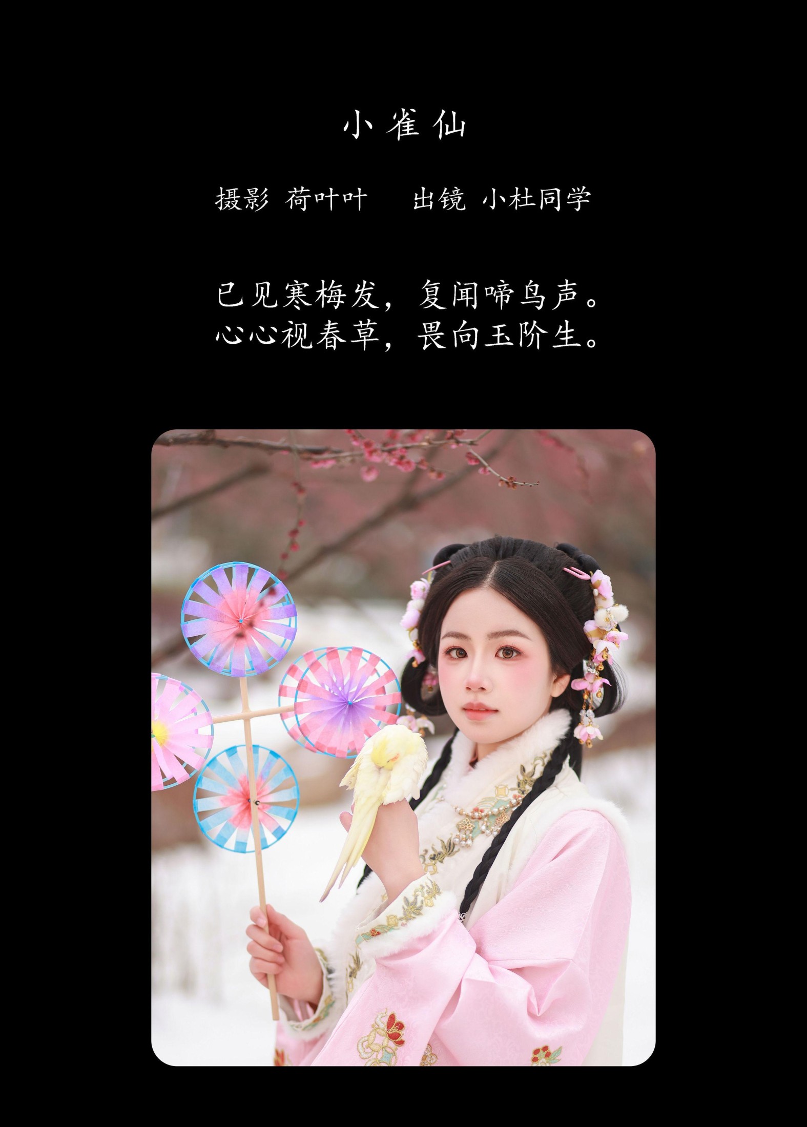 小杜同学 – 《小雀仙》[26P]