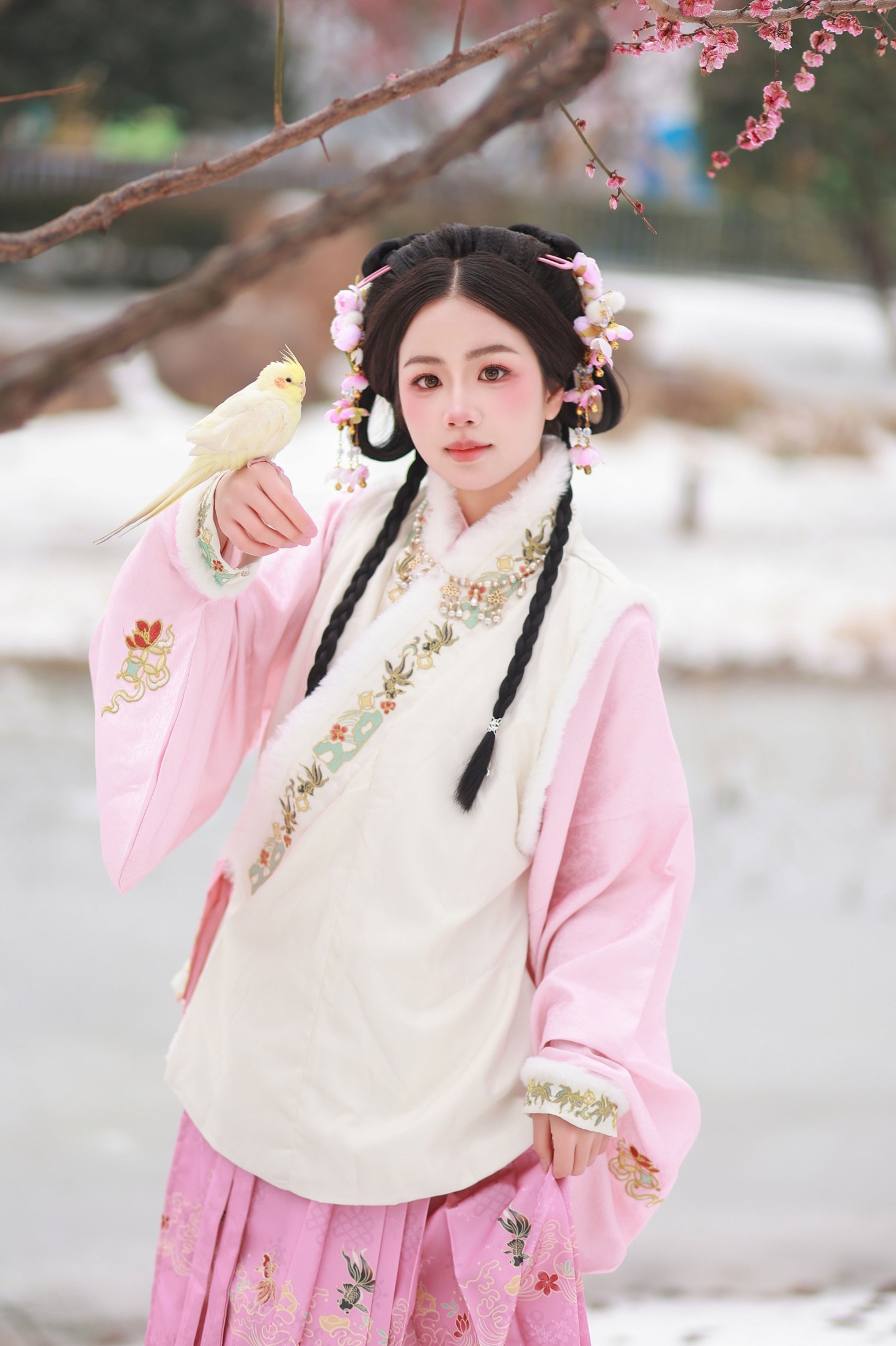 小杜同学 – 《小雀仙》[26P]