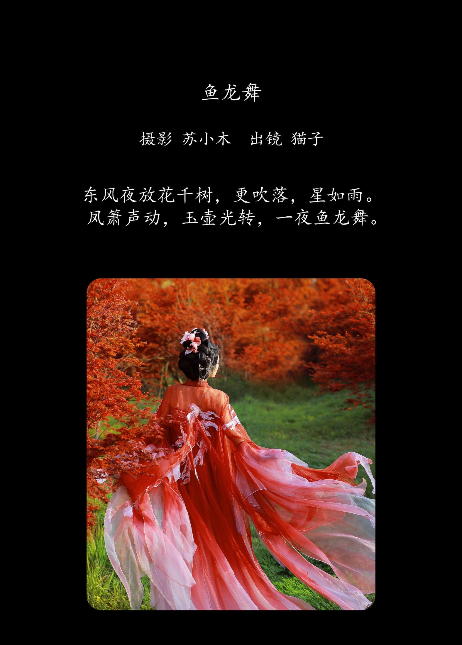 猫子子 – 《鱼龙舞》[24P]