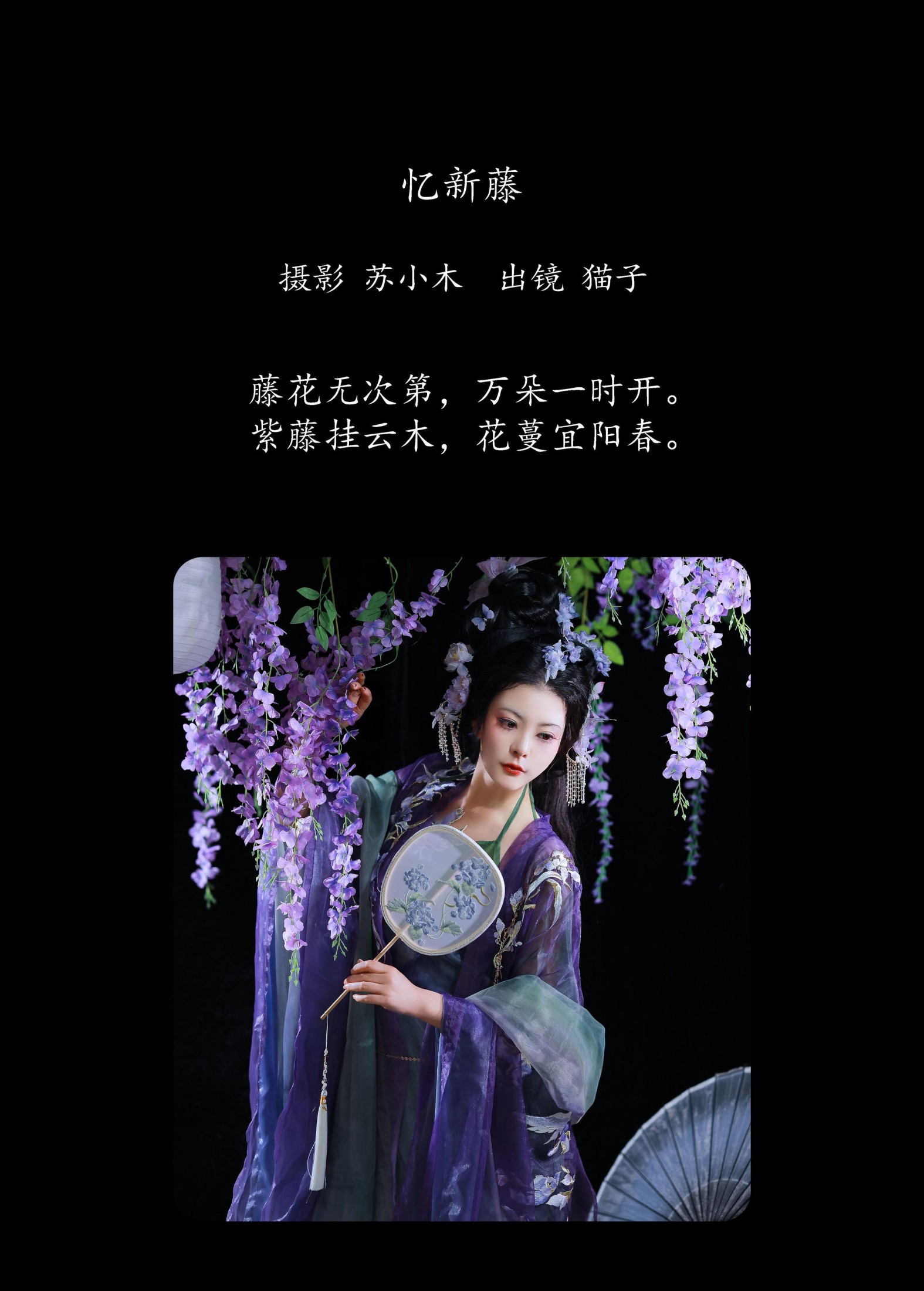 猫子子 – 《忆新藤》[22P]