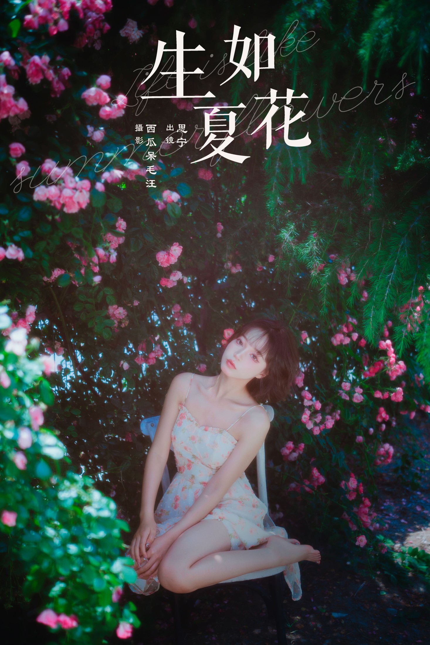 Disexi思宁 – 《生如夏花》[27P]