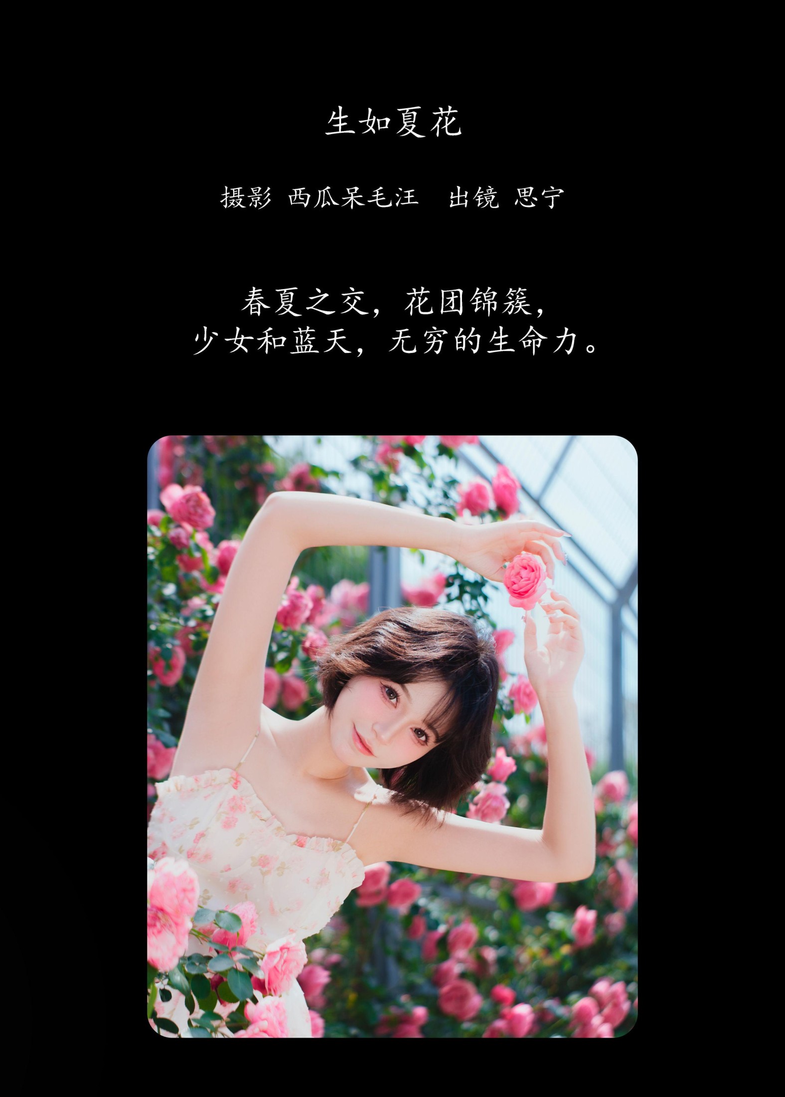 Disexi思宁 – 《生如夏花》[27P]