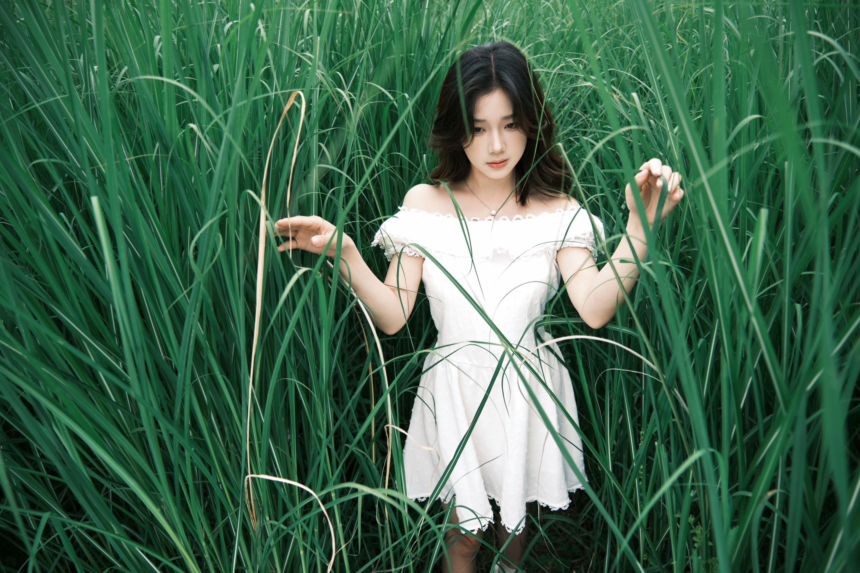 To小北 – 《草地少女》[39P]