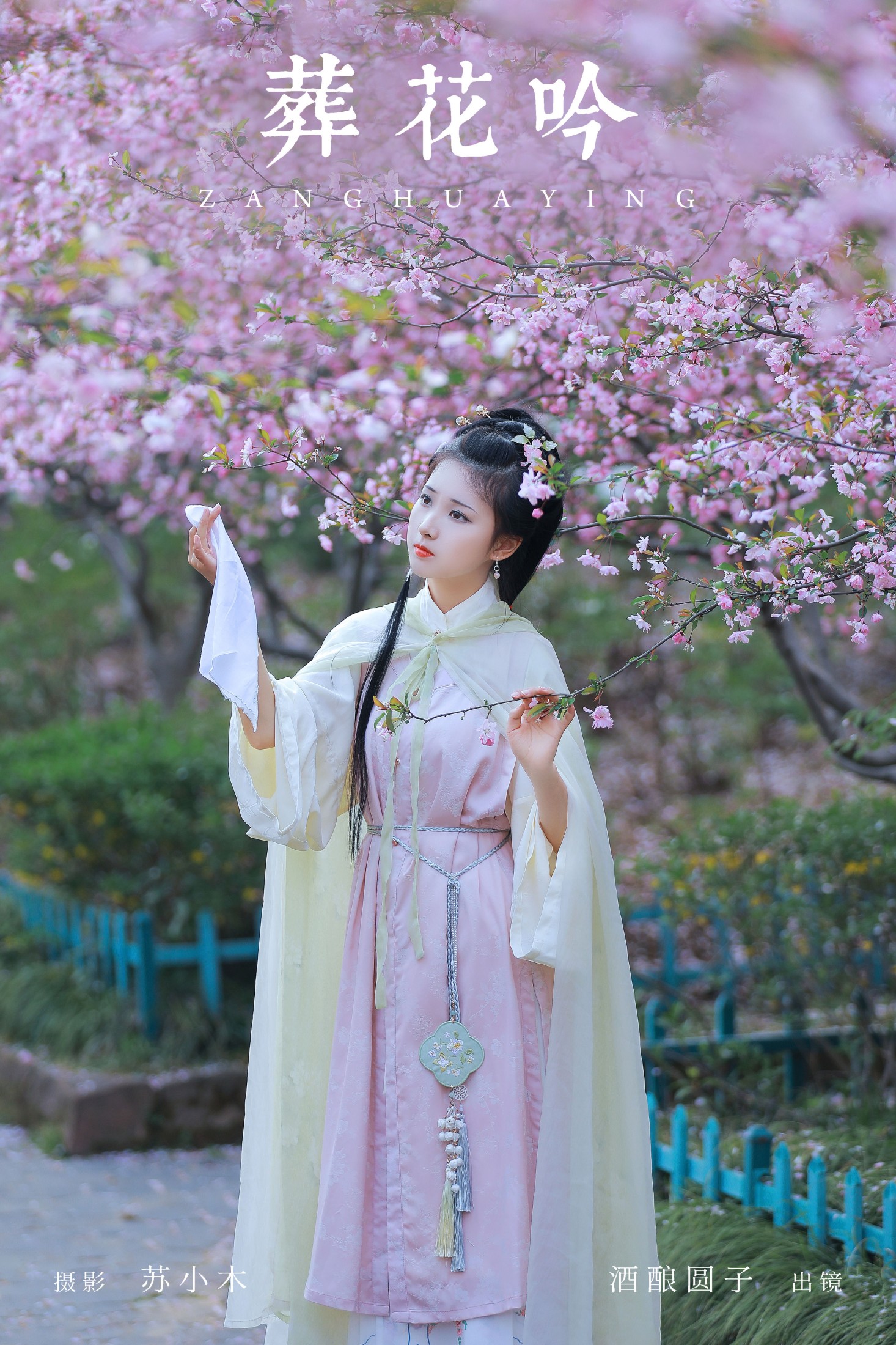 酒酿圆子 – 《葬花吟》[25P] 插图1