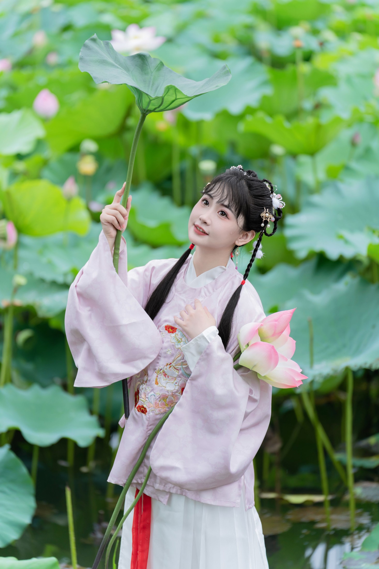 湫一只岁岁 – 《荷花的夏天》[22P]