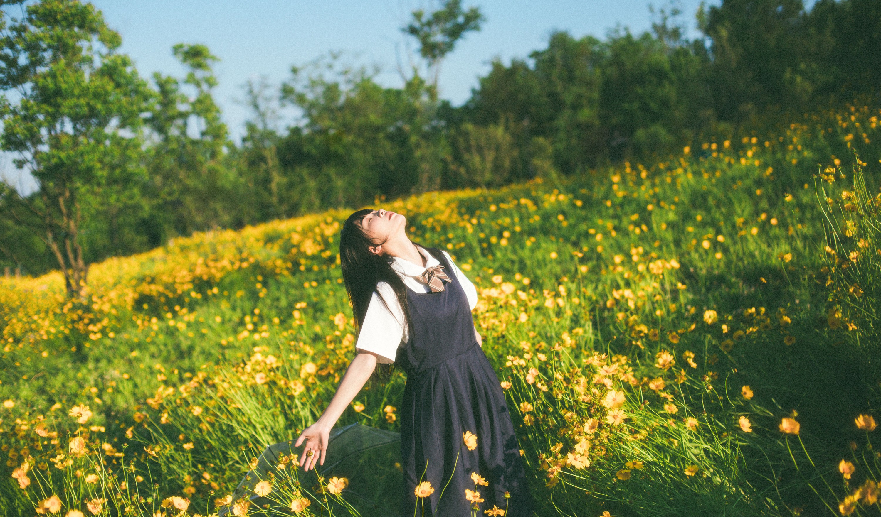 一 – 《小黄花》[34P]