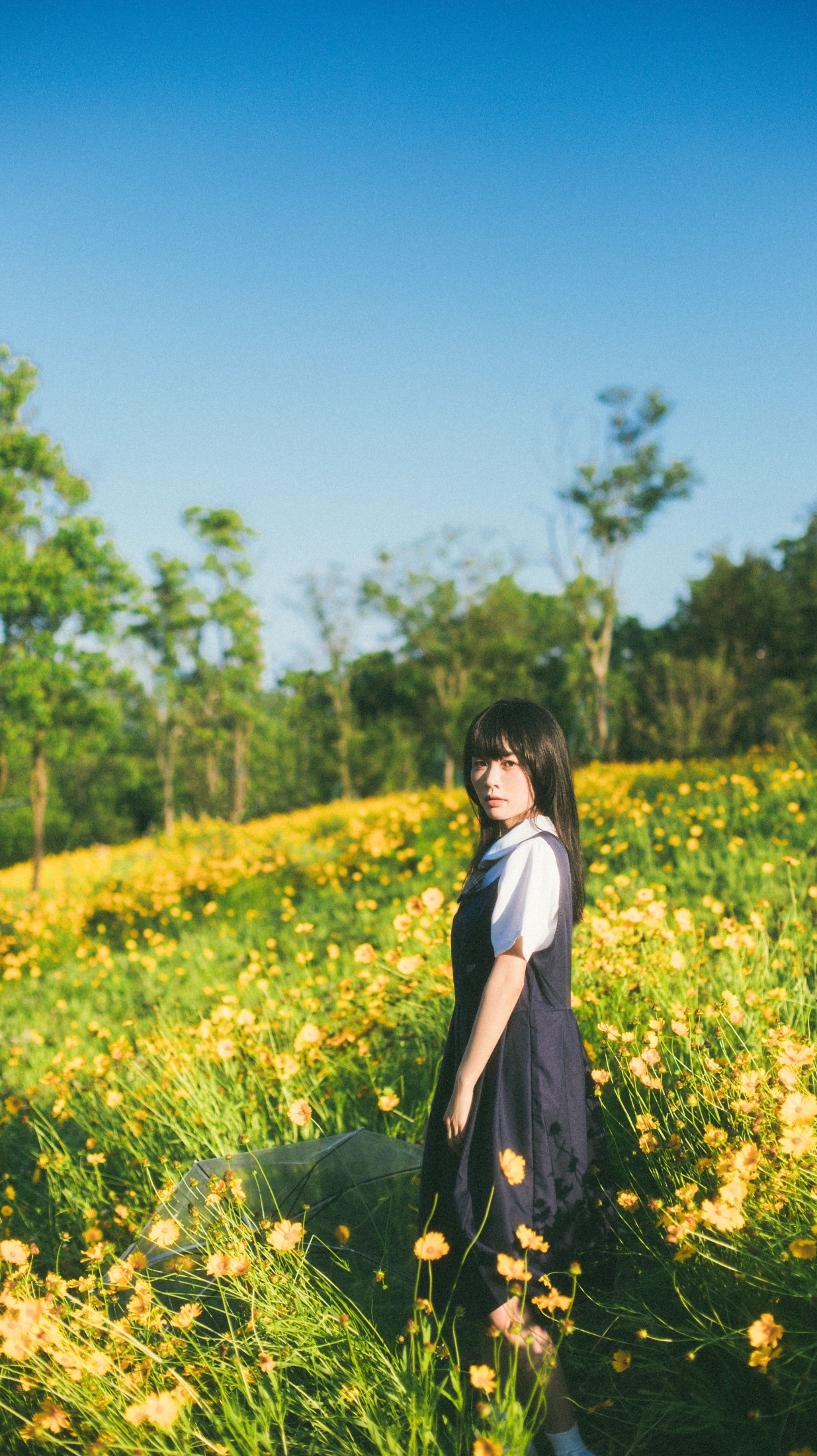 一 – 《小黄花》[34P]