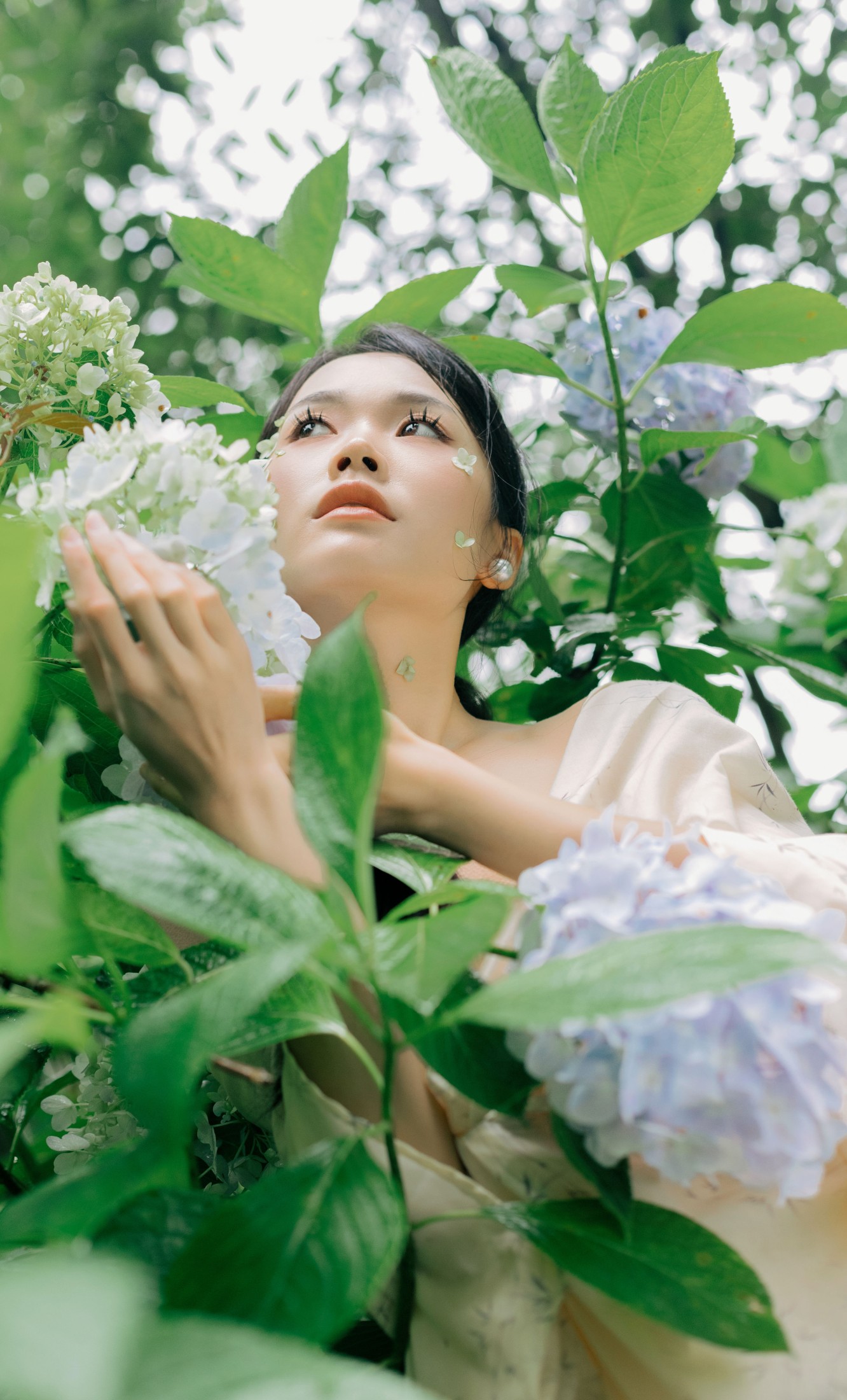 一 – 《山间绣球花正开》[26P]