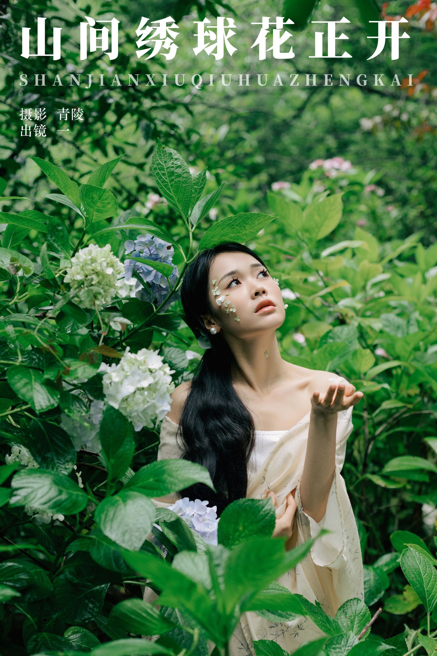 一 – 《山间绣球花正开》[26P]