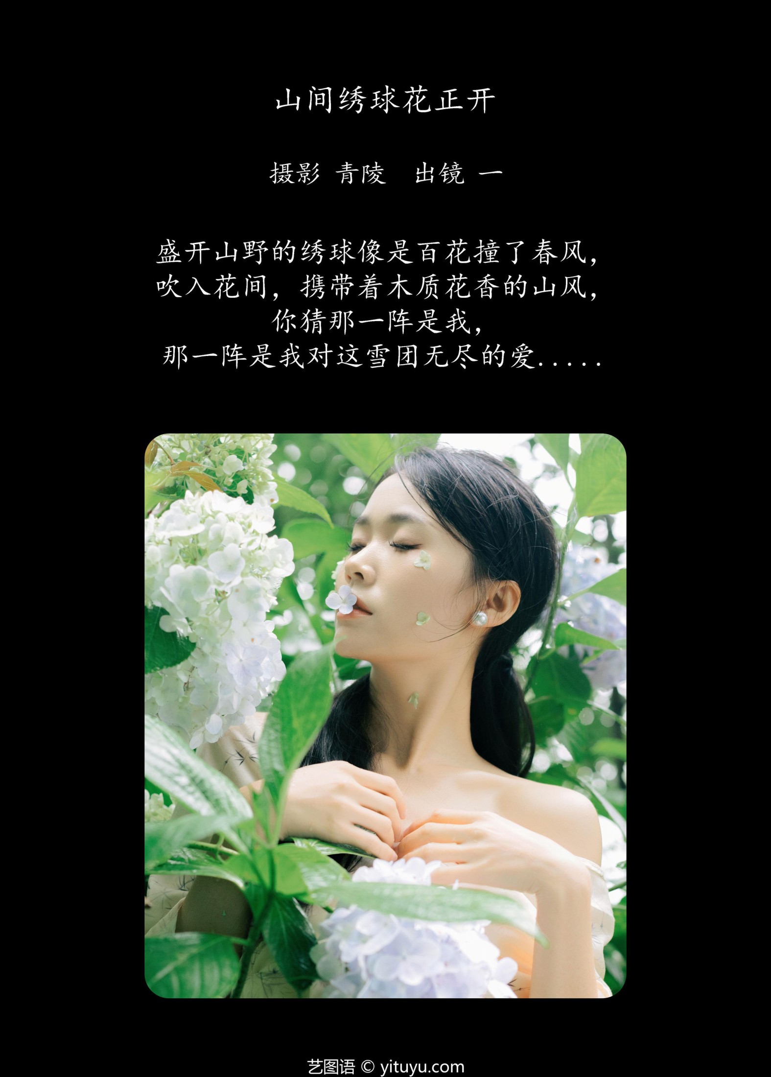 一 – 《山间绣球花正开》[26P]
