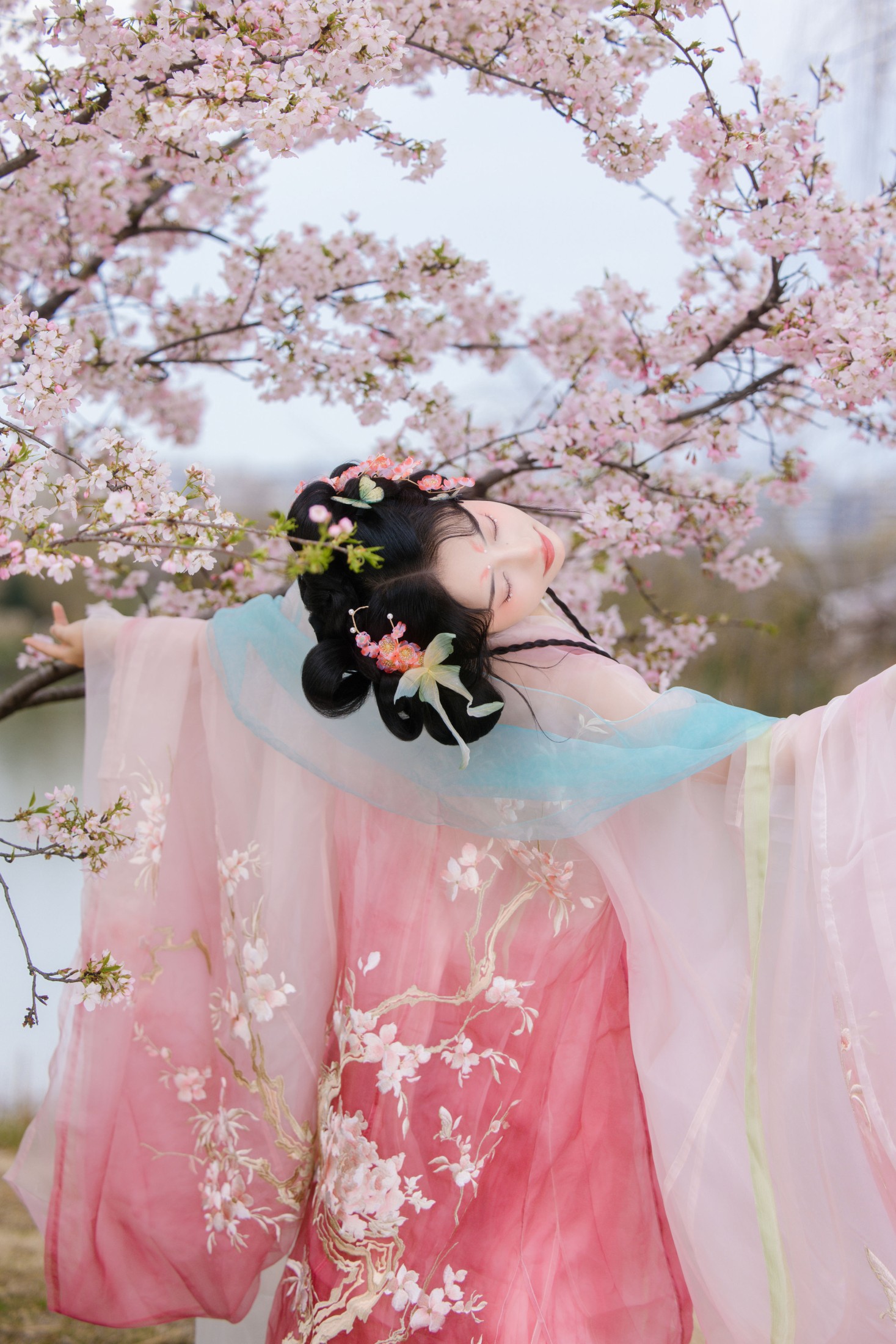 衔鹿 – 《赏樱》[30P]