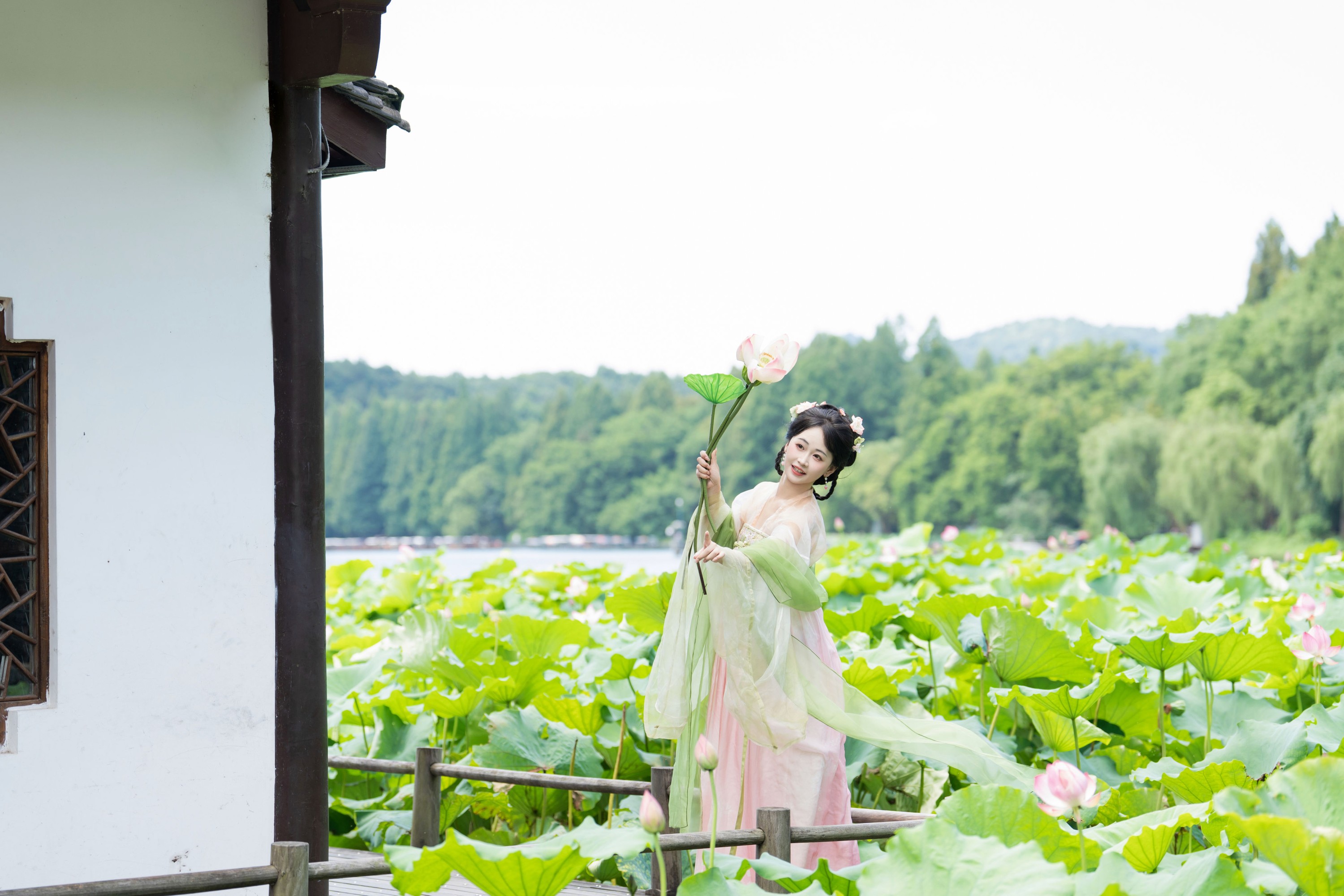 湫一只岁岁 – 《荷花少女》[25P]