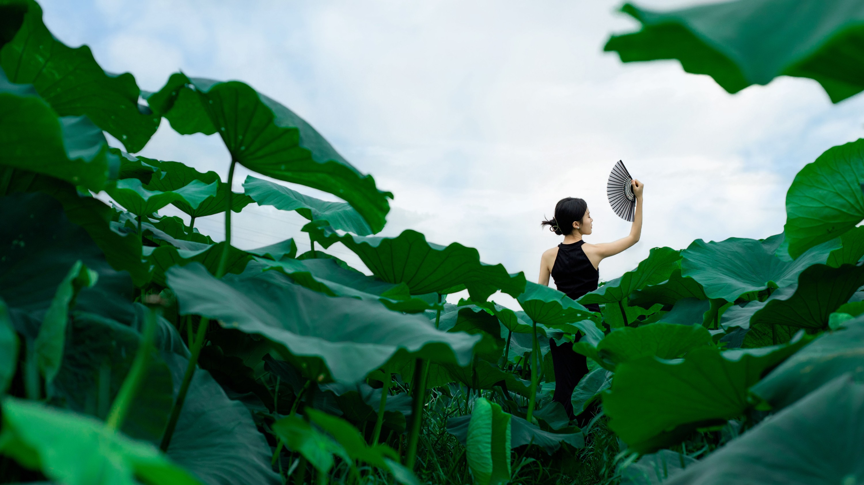 一 – 《美人装》[29P]