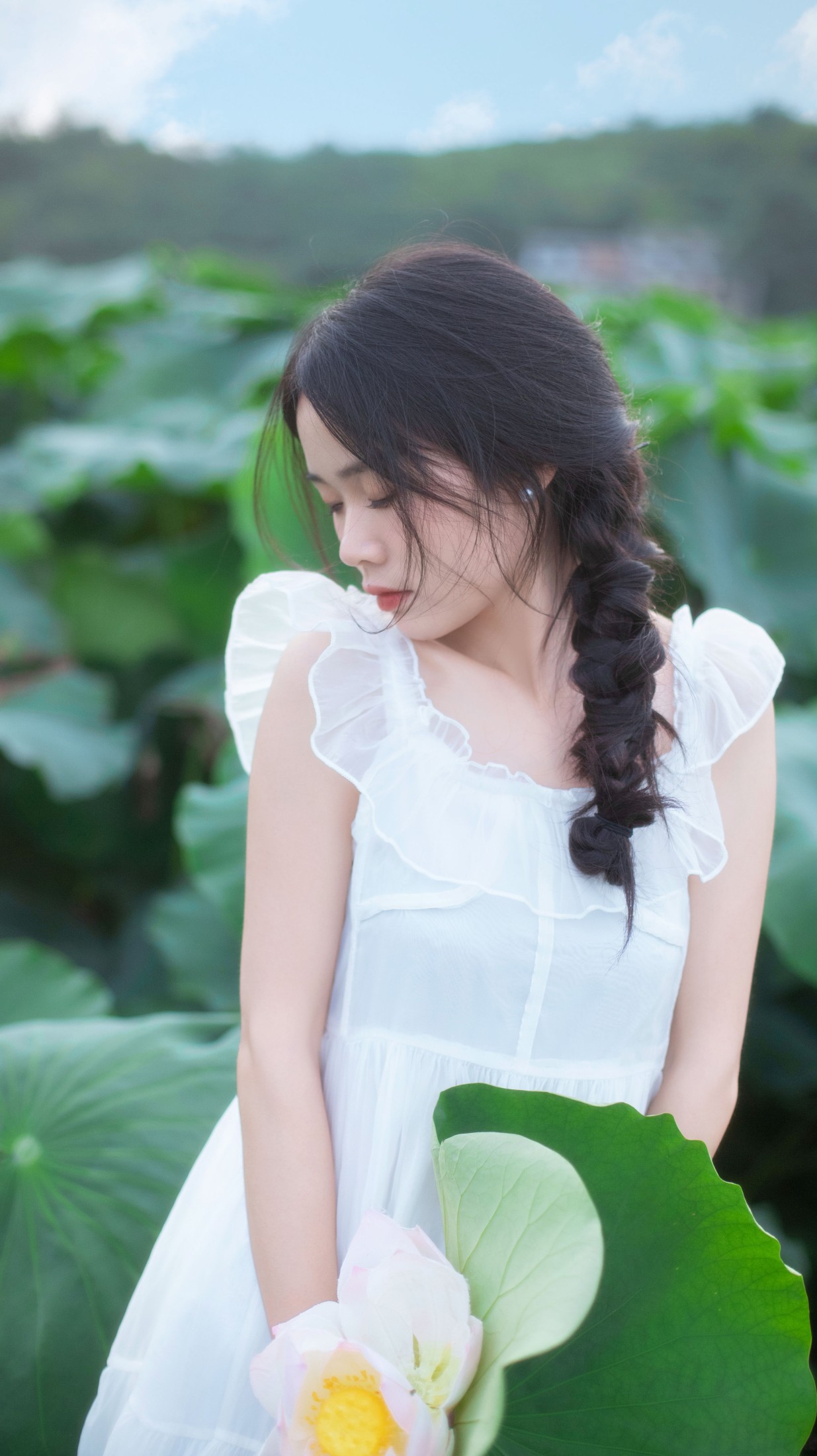 一 – 《儿时的那片荷田》[24P]