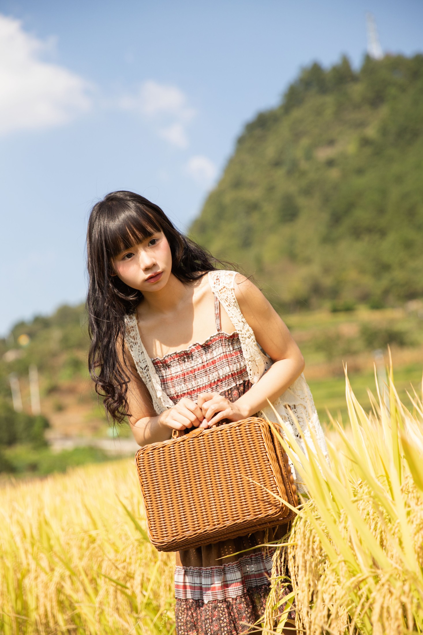 是三金呀 – 《秋日稻田》[29P]