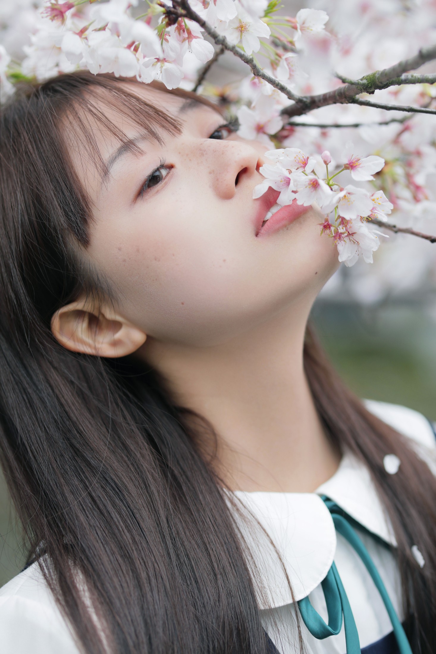 – 《春日礼赞》[35P]