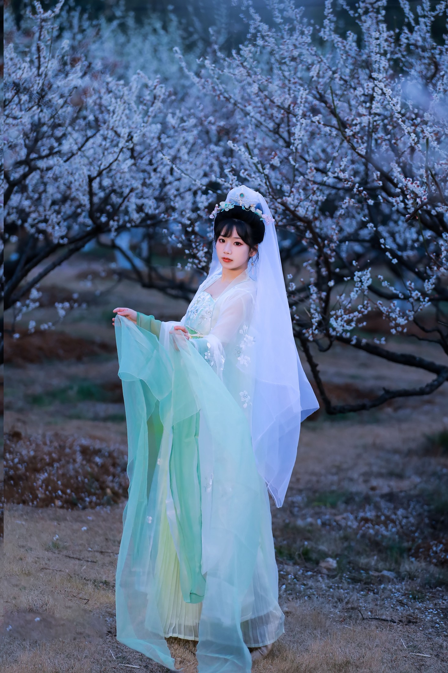周周Ay – 《暗香》[22P] 插图1