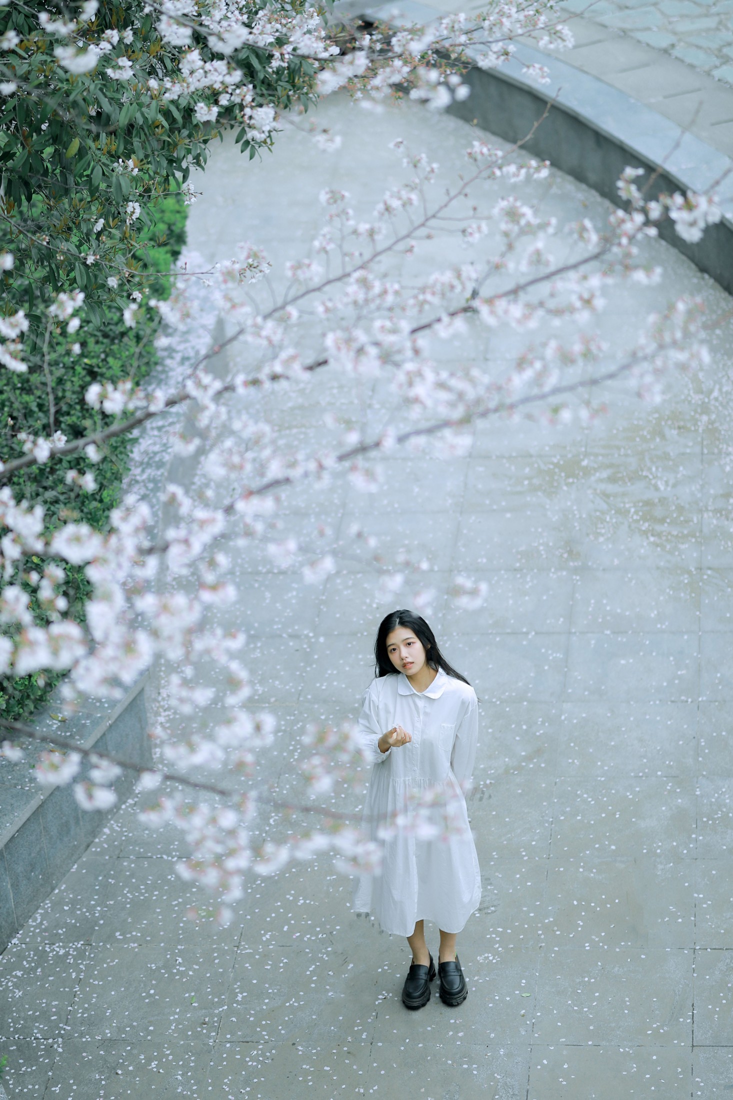 龙星儿 – 《樱花少女》[30P] 插图1