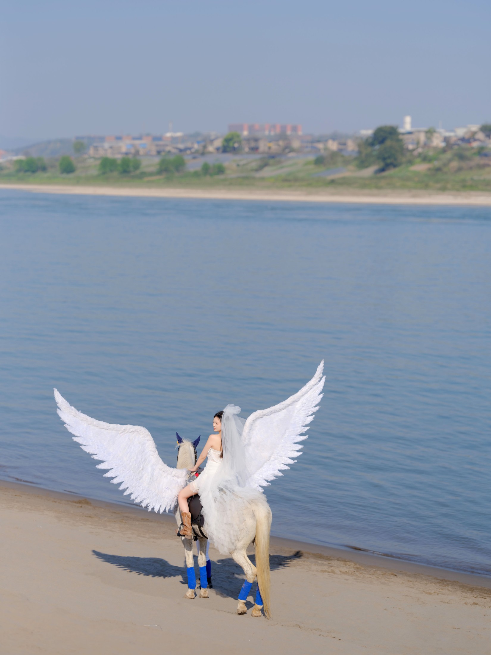 z – 《飞马公主》[16P]