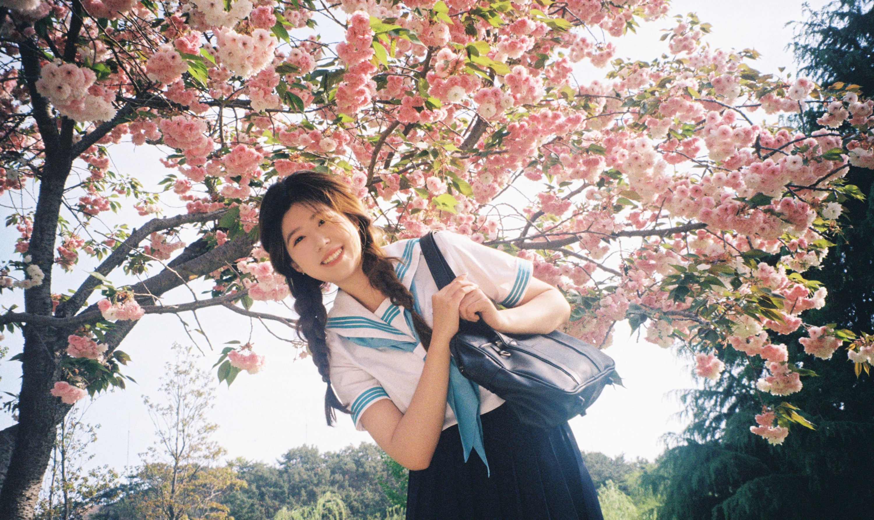 。 – 《樱花物语》[14P]