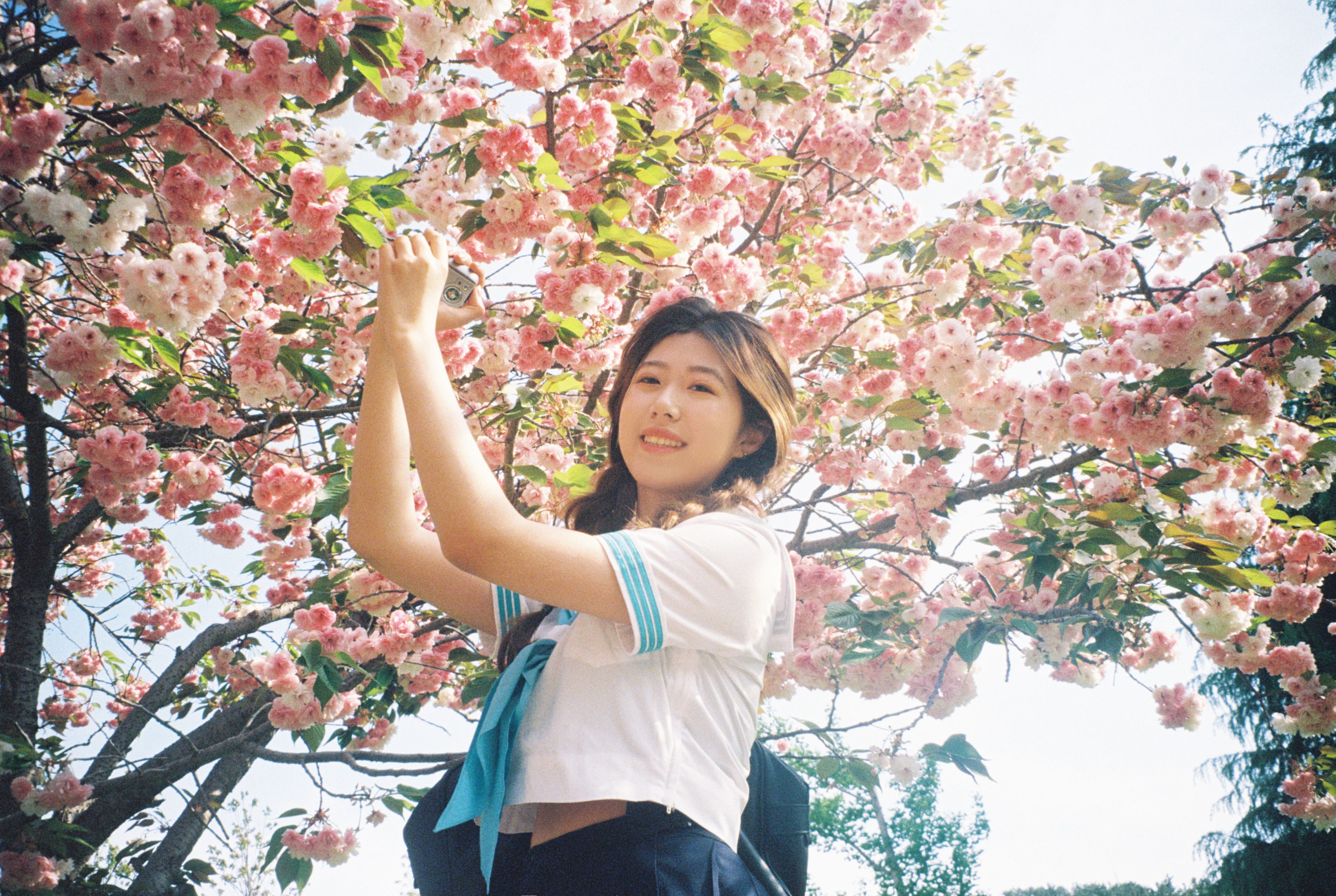 。 – 《樱花物语》[14P]