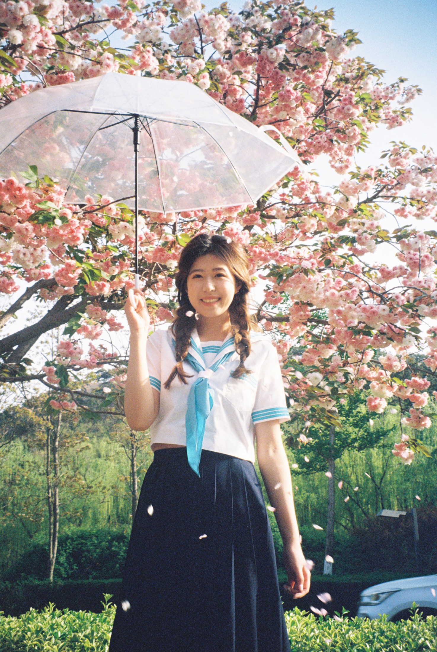 。 – 《樱花物语》[14P]