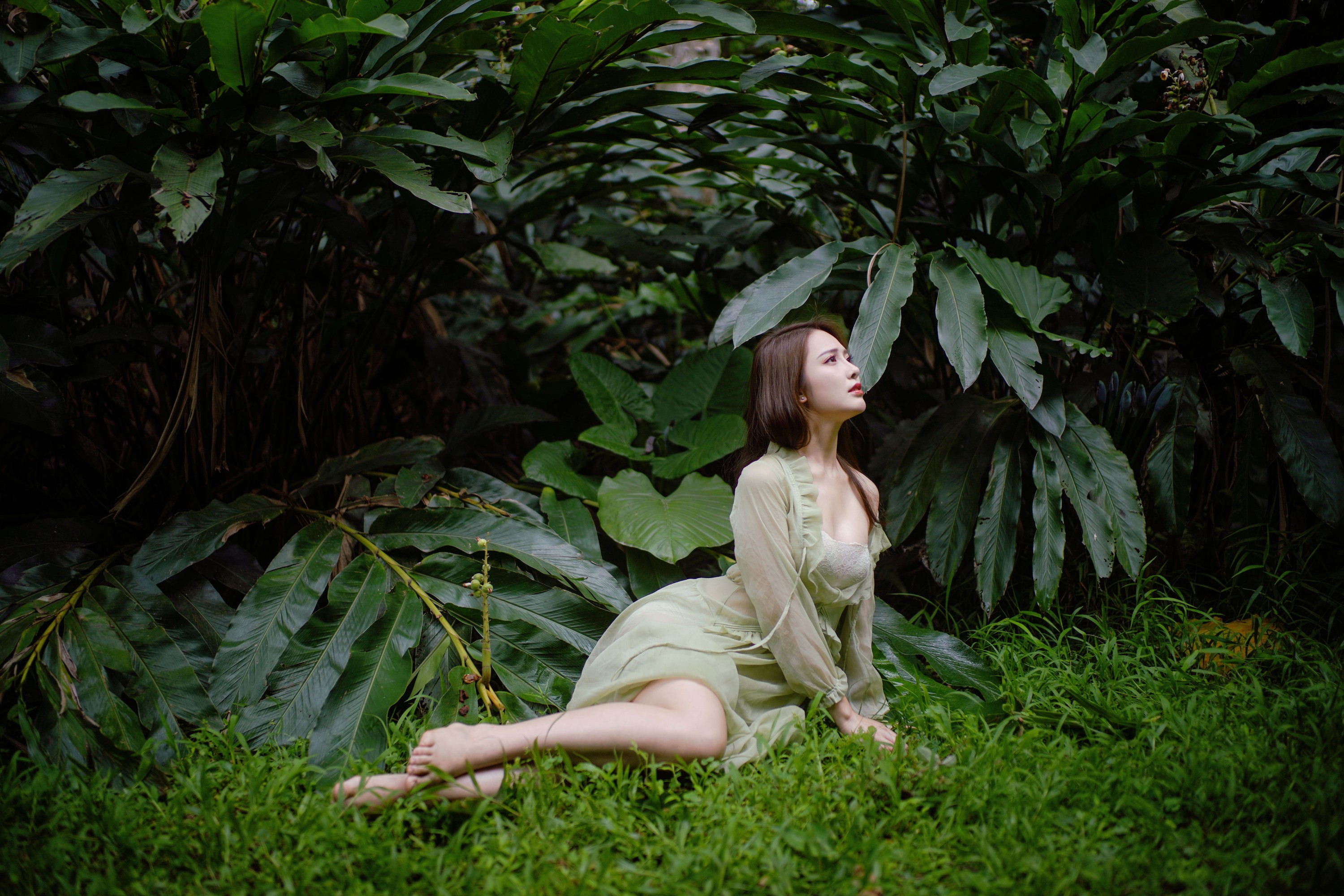 – 《森林童话：绿裙少女与光共舞》[39P]