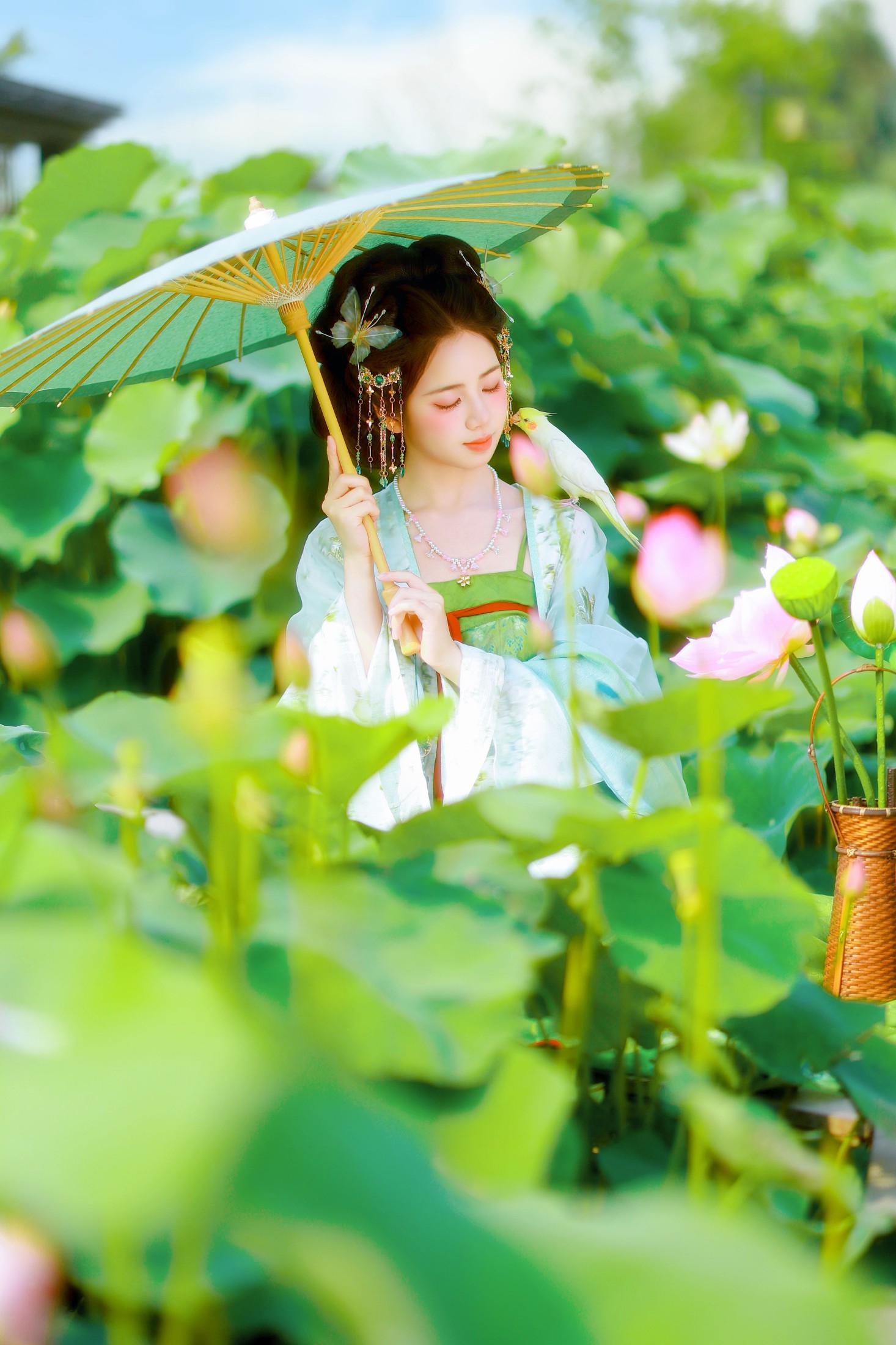 小杜同学 – 《小荷塘》[63P]