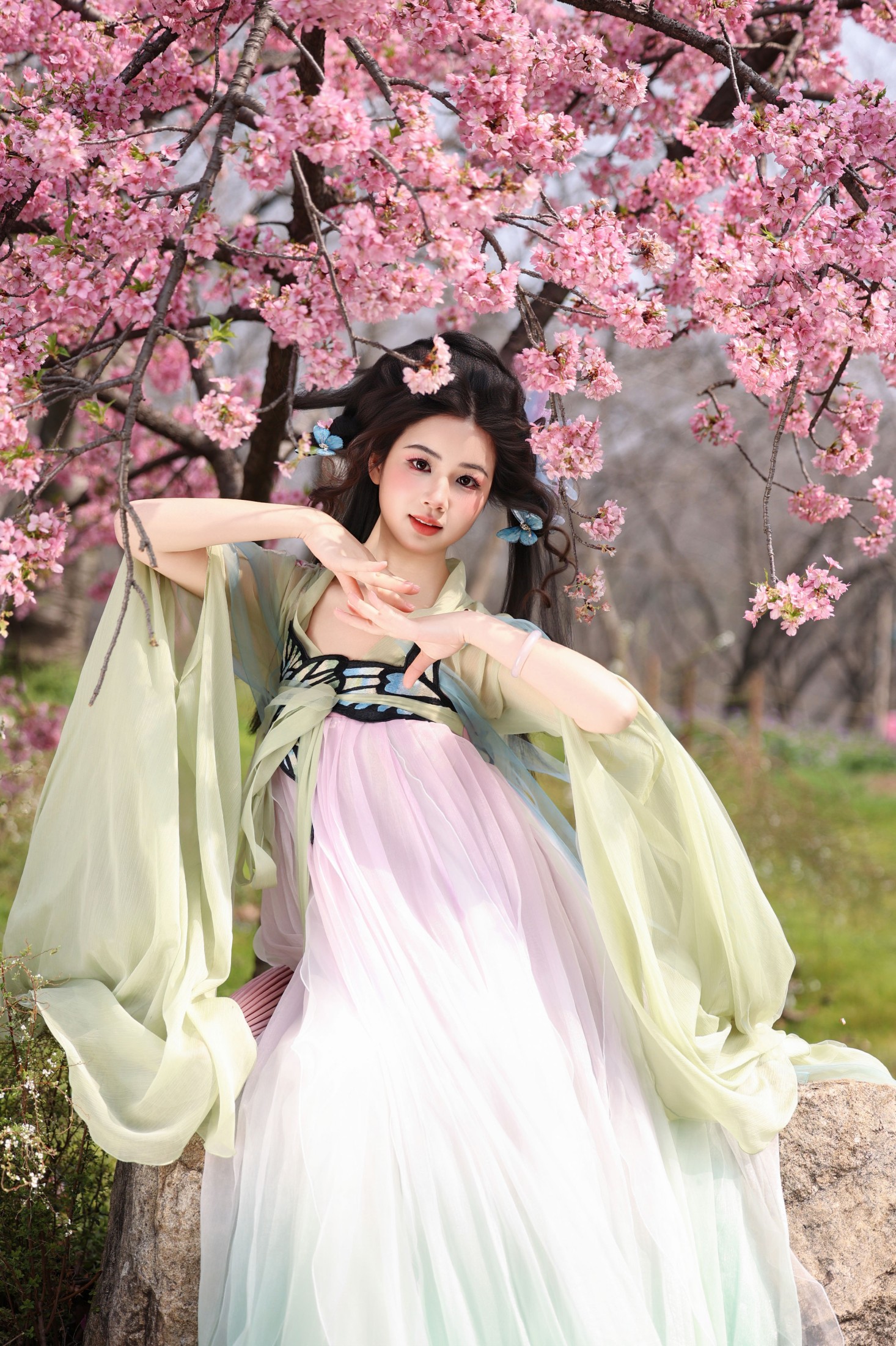 小杜同学 – 《蝴蝶梦》[26P]