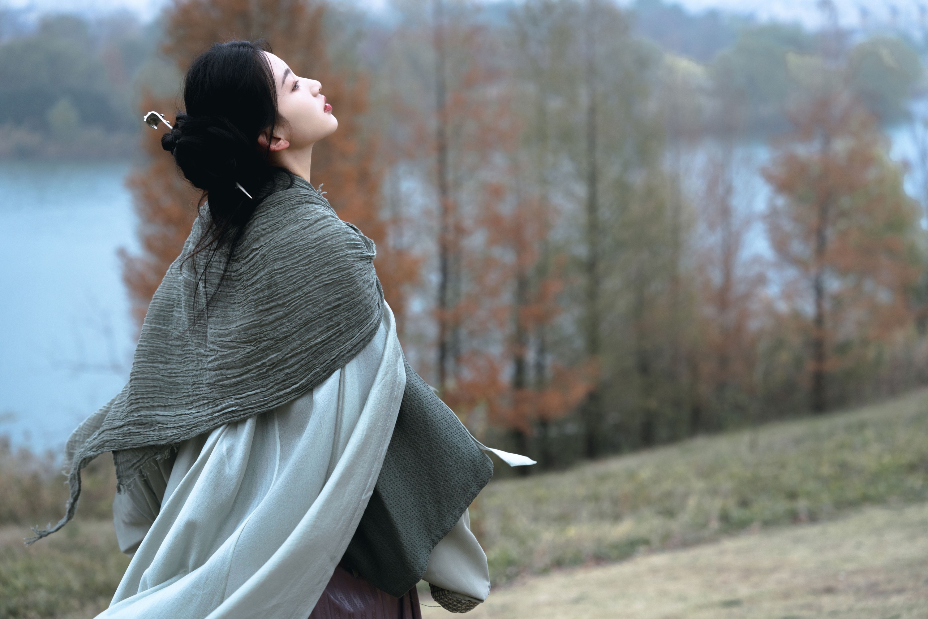二一芝 – 《风又起，叶落地》[19P] 插图1