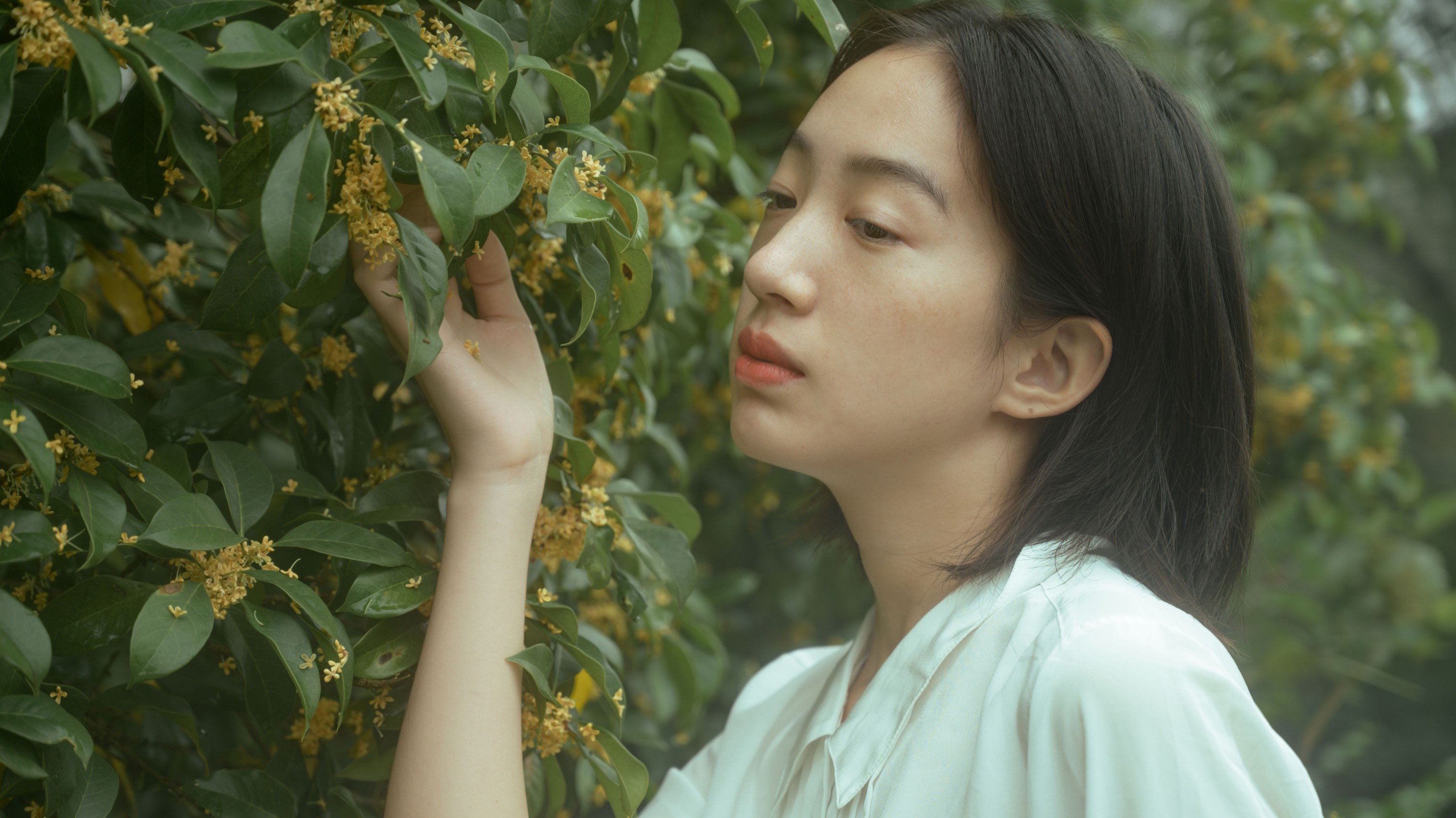 子芸 – 《麦田晨雾》[26P] 插图1