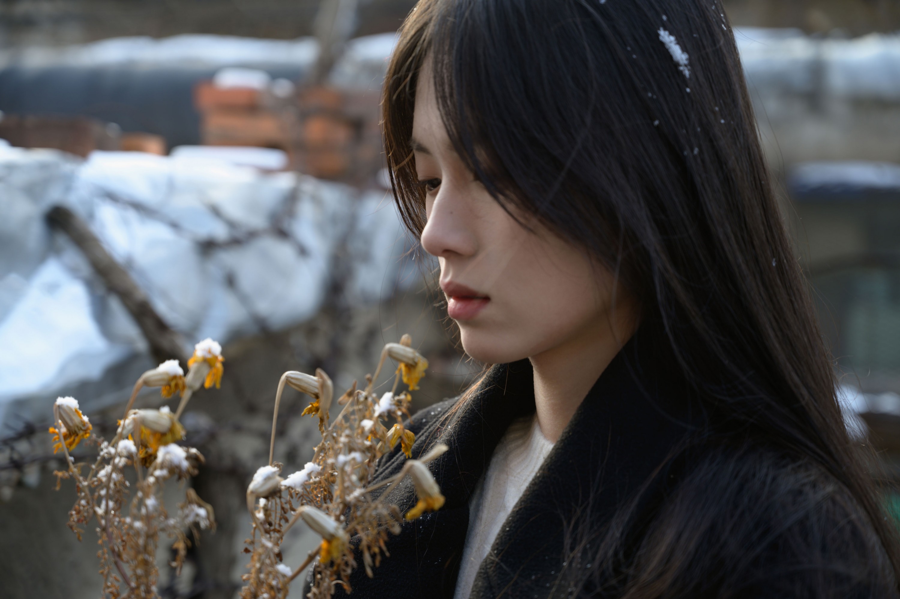  – 《老城区》[15P] 插图4