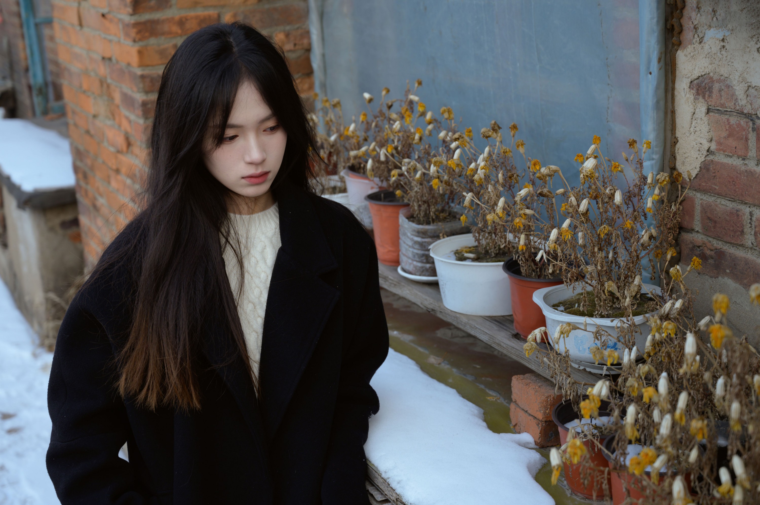 – 《老城区》[15P]