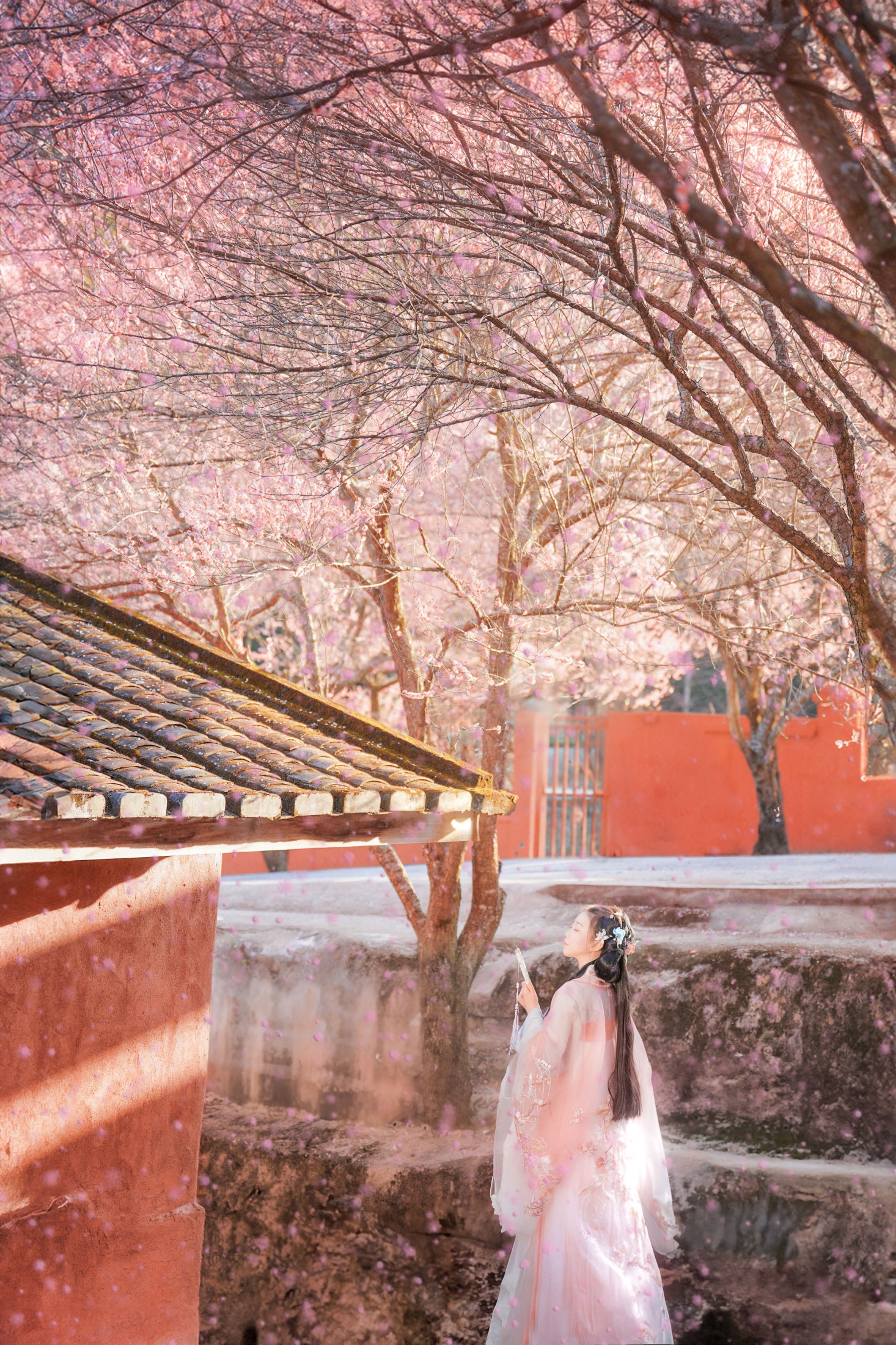 卿莫07 – 《梅花古风人像拍摄》[22P] 插图1