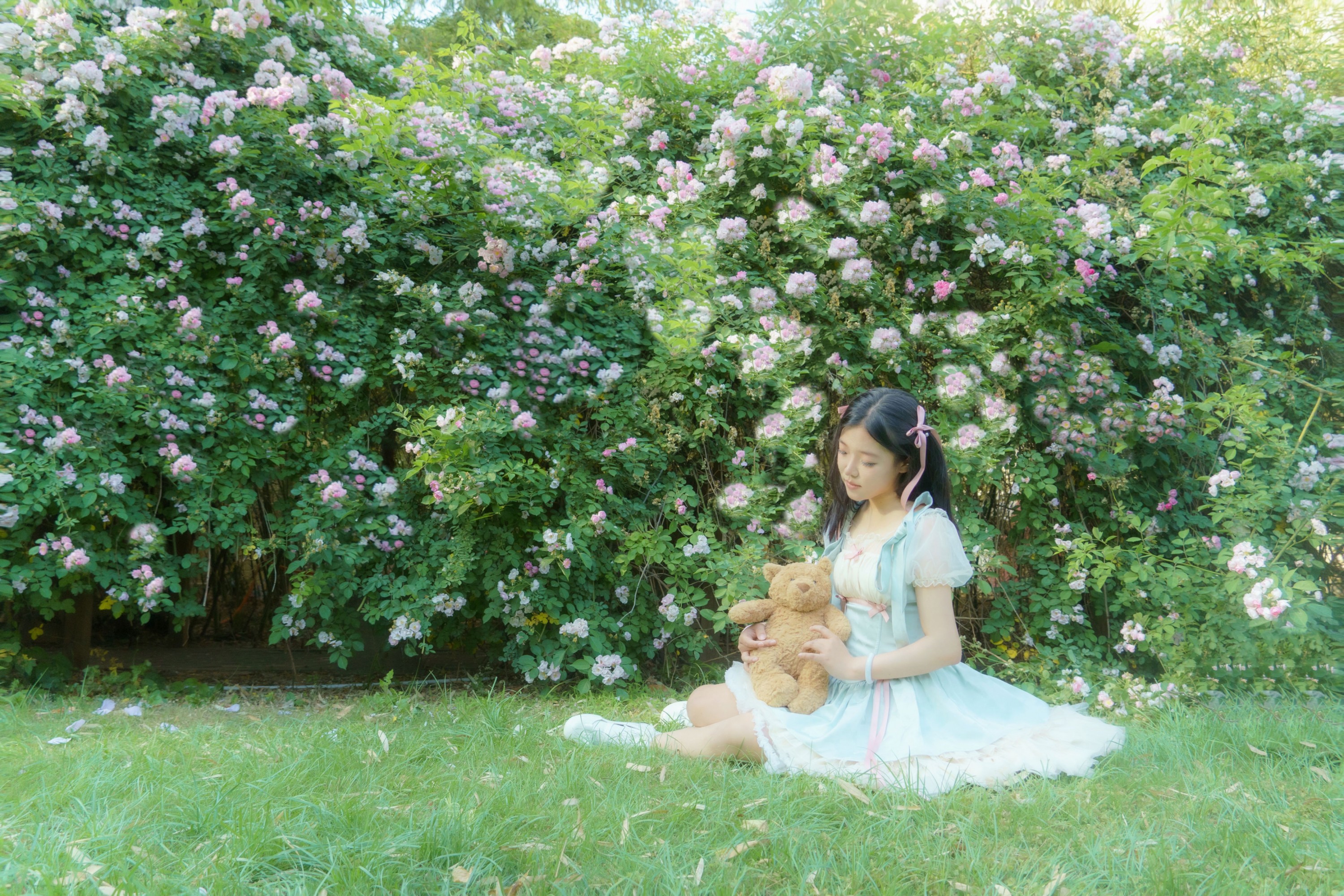  – 《蔷薇之夏》[11P] 插图5