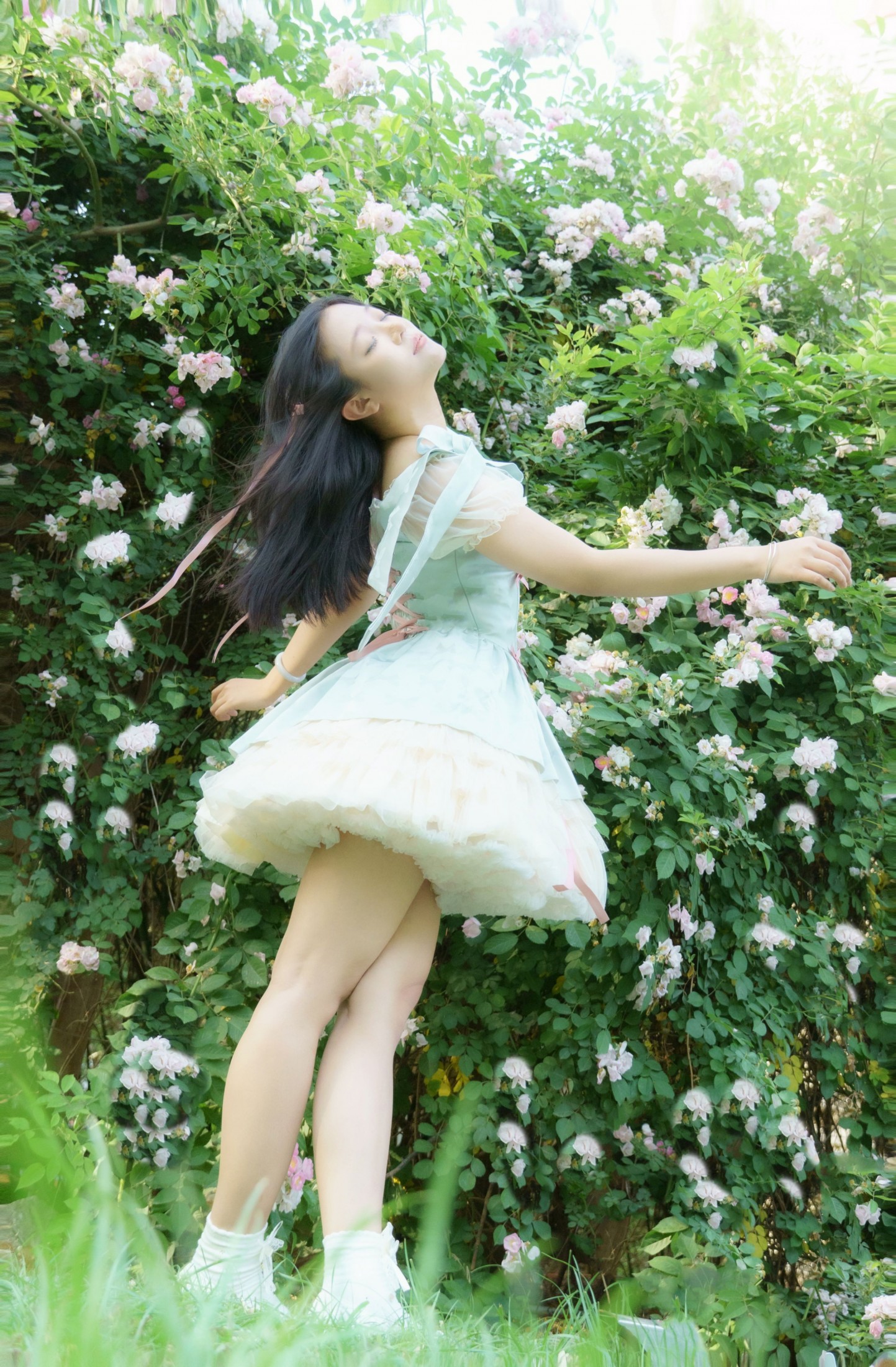 – 《蔷薇之夏》[11P]