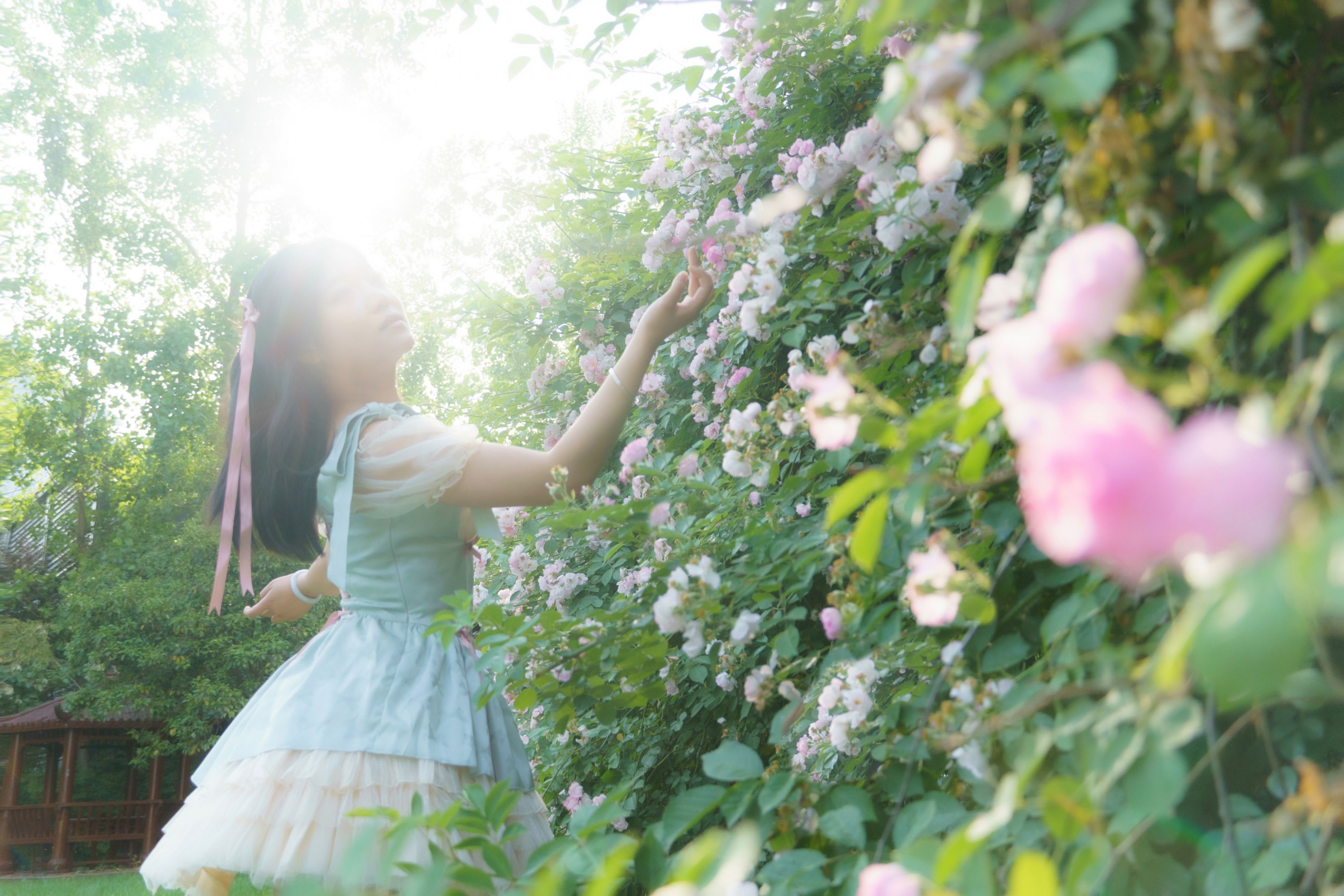  – 《蔷薇之夏》[11P] 插图4