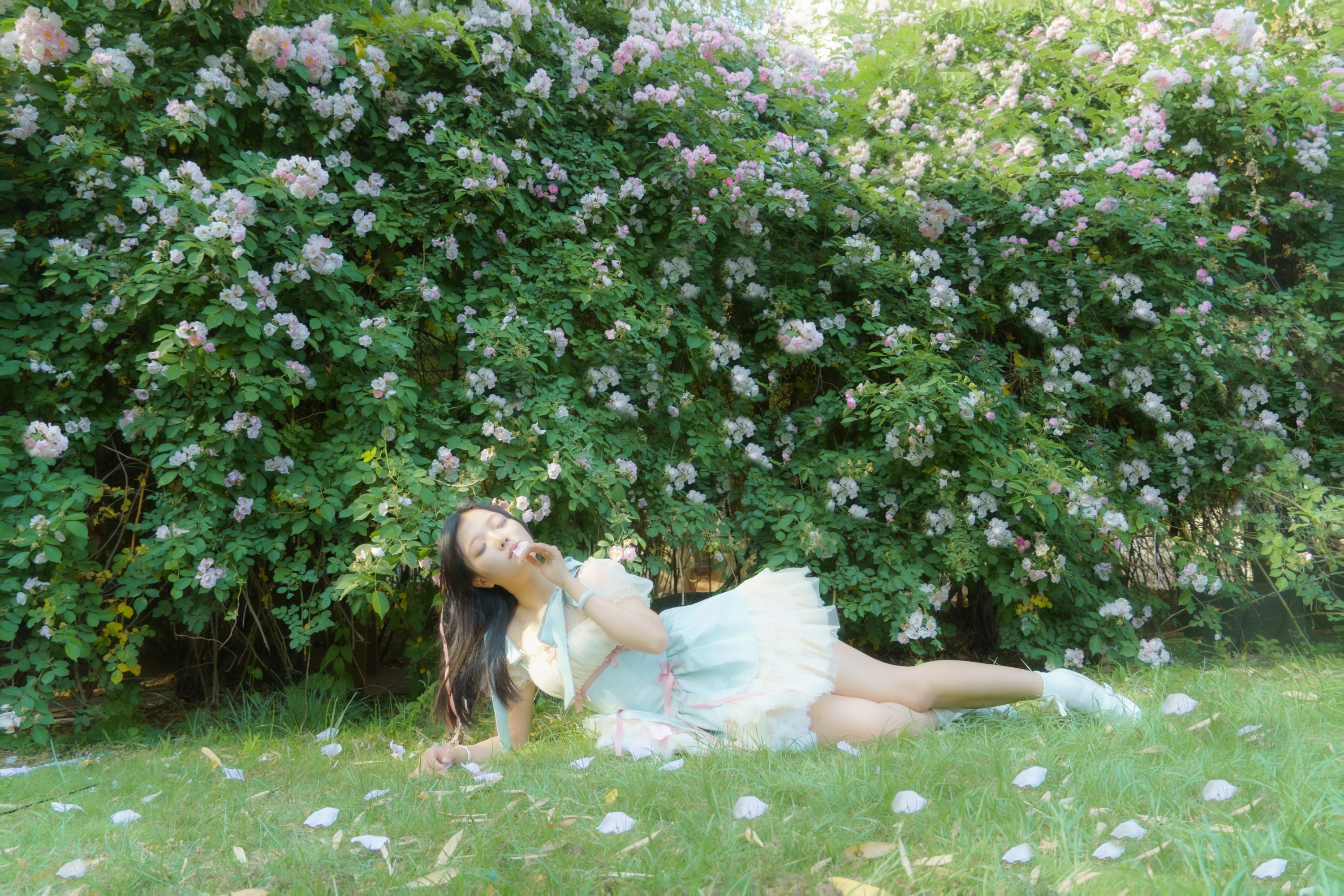  – 《蔷薇之夏》[11P] 插图3