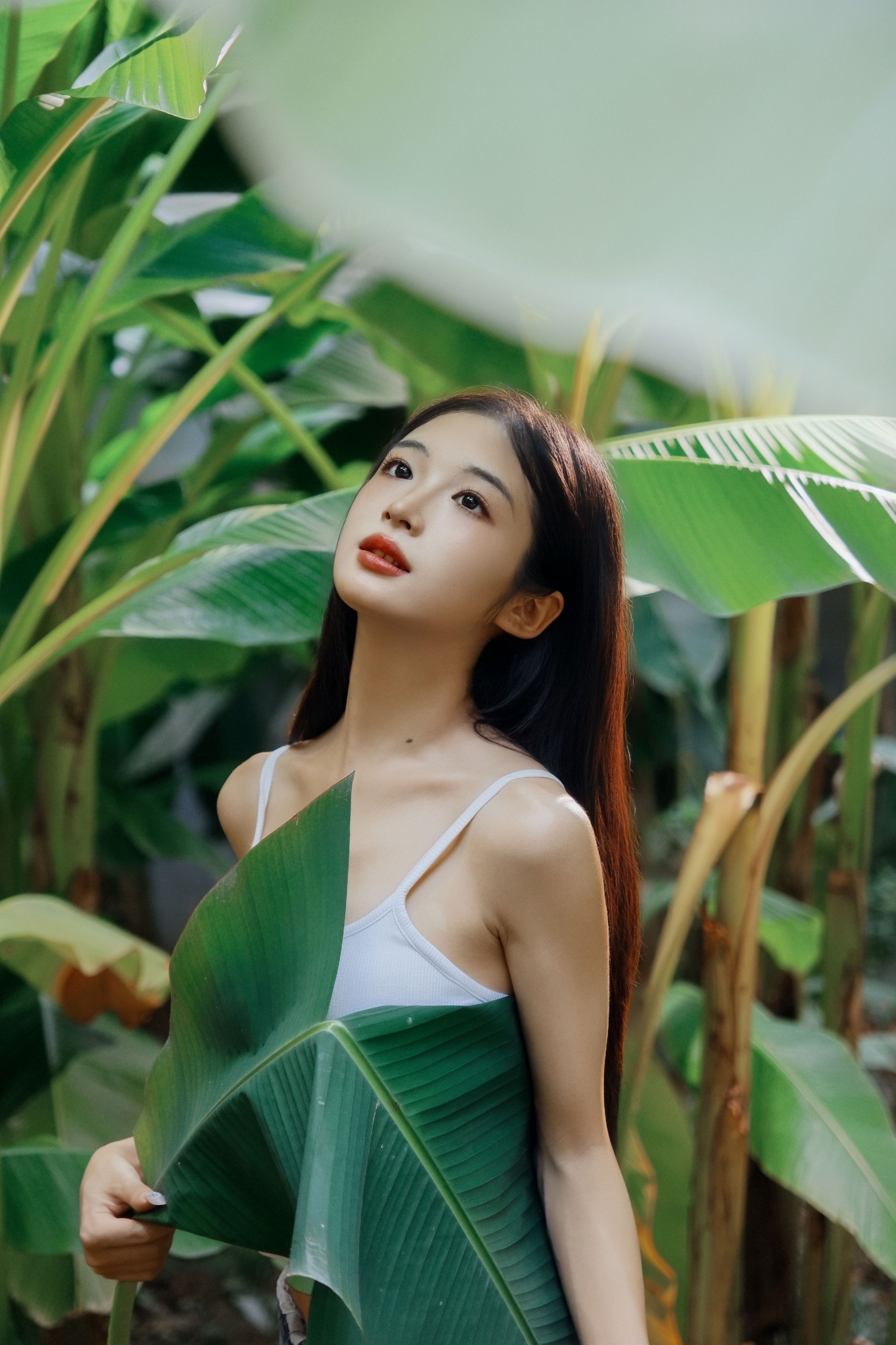 蝴蝶 – 《芭蕉叶下的邂逅》[25P] 插图1