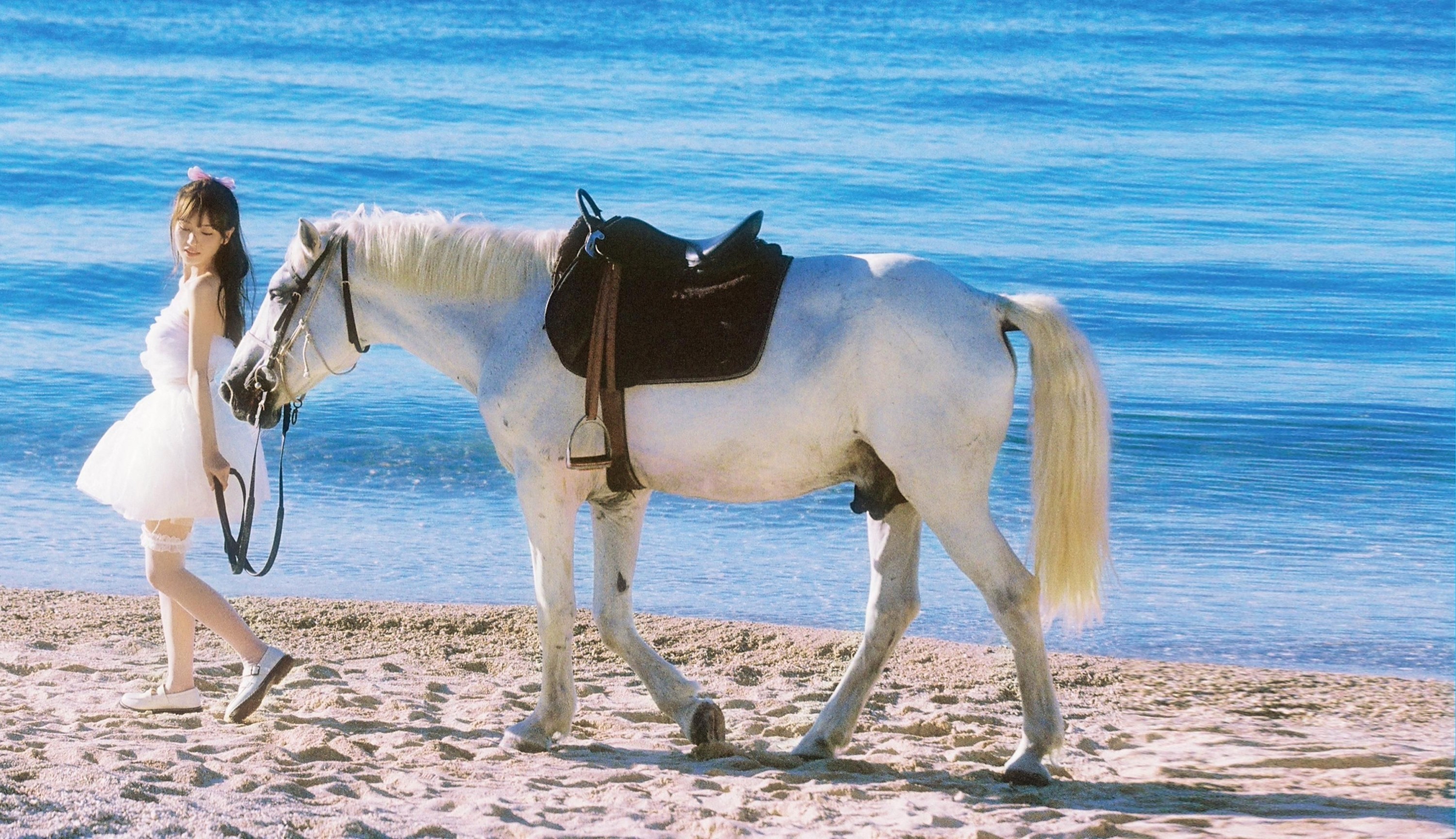 顾林x – 《白马公主》[9P] 插图3