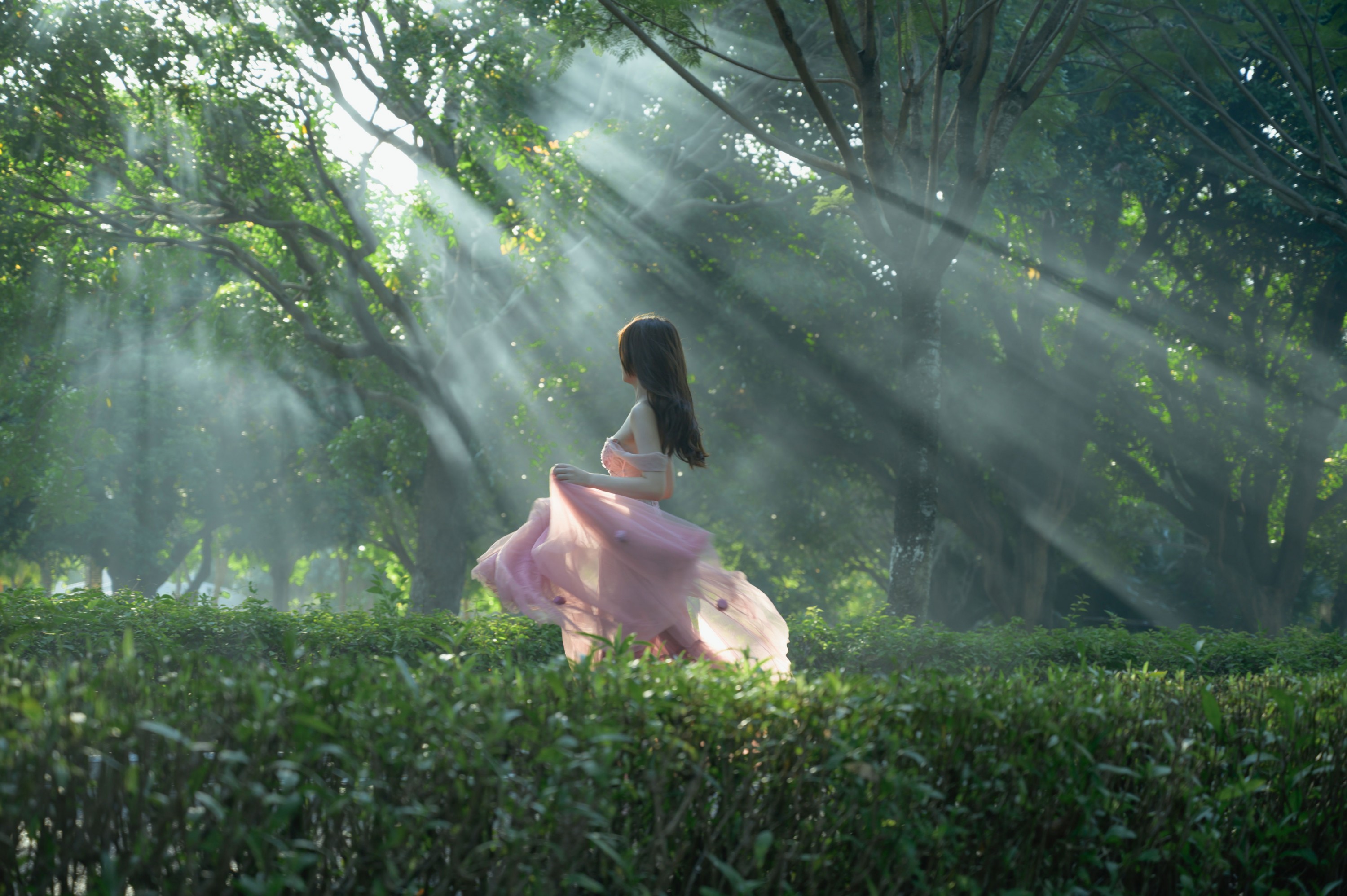  – 《美丽的光》[15P] 插图3