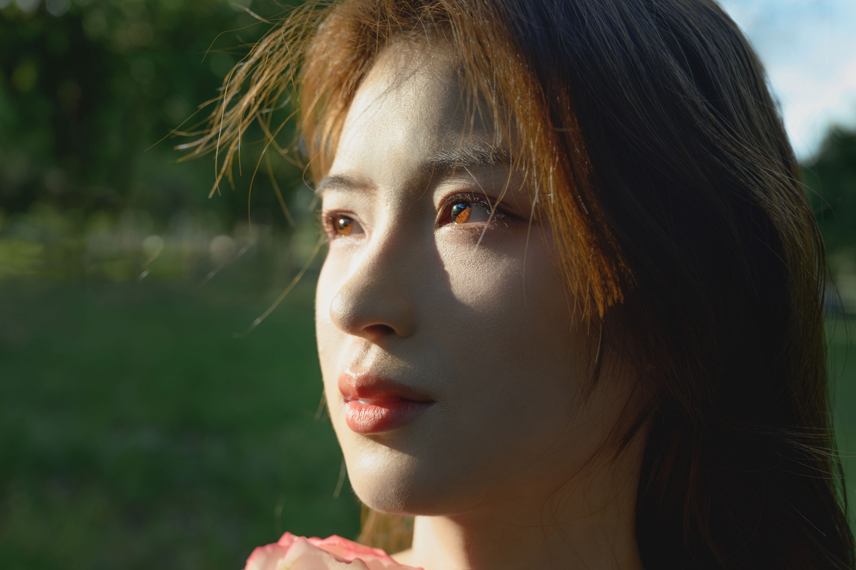 – 《美丽的光》[15P]