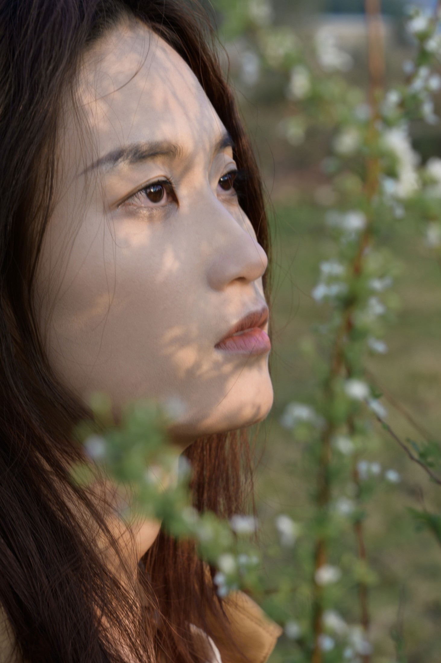 – 《日出后》[12P]