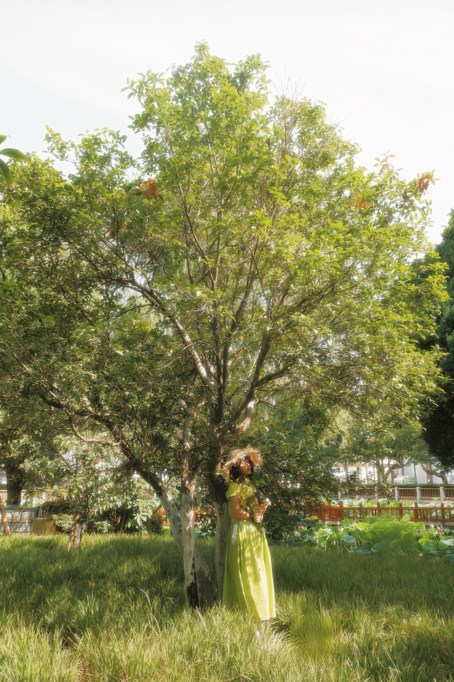 – 《我可否將你比作一個夏日》[10P]